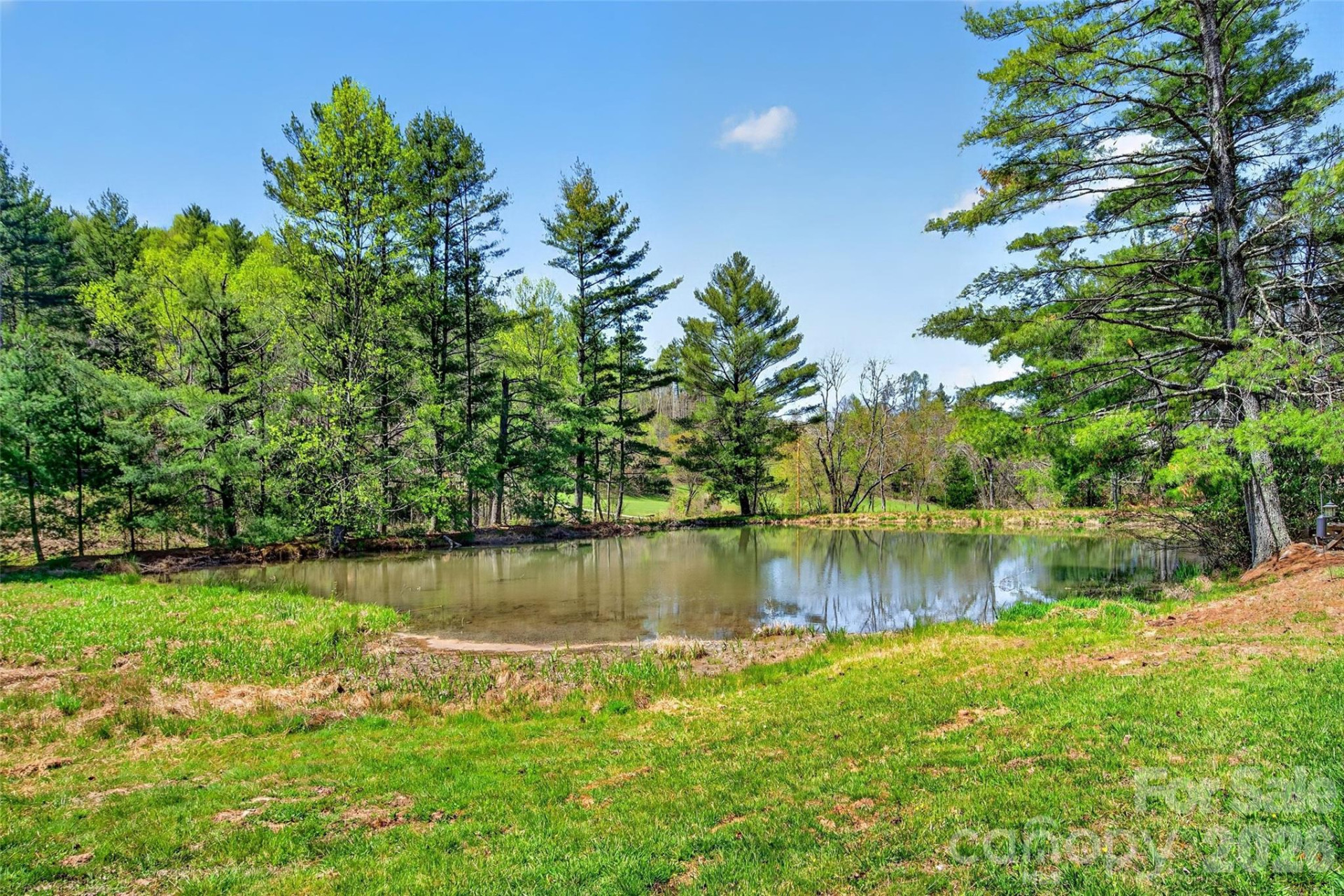 1959 Jackson Town Road - Photo 28