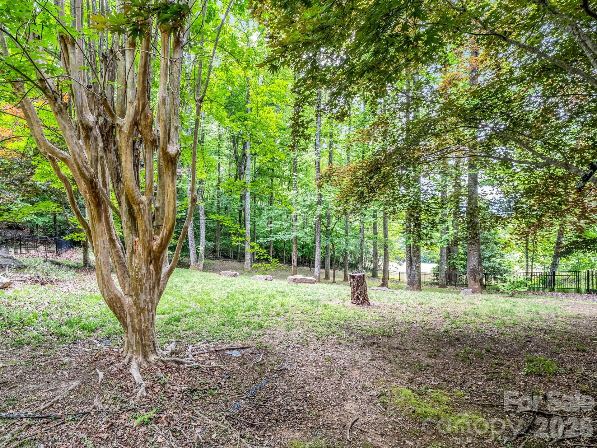 425 Winesap Boulevard - Photo 24