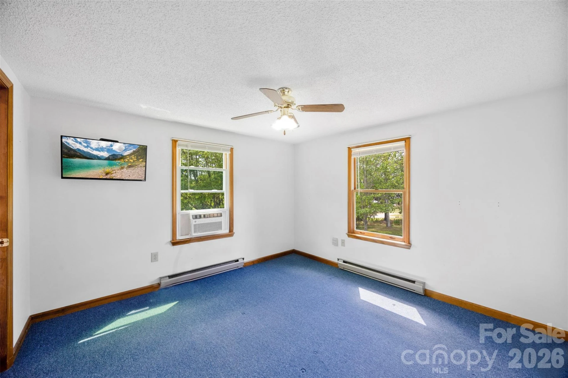 3117 Blue Ridge Drive - Photo 16