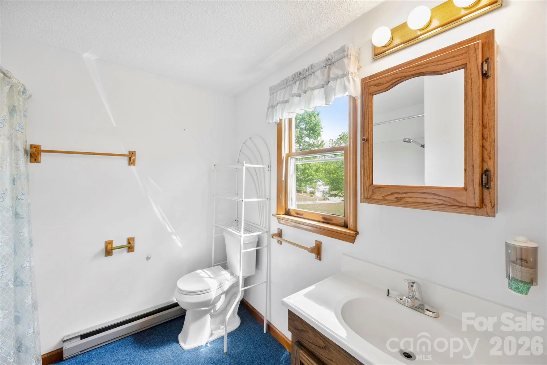 3117 Blue Ridge Drive - Photo 17