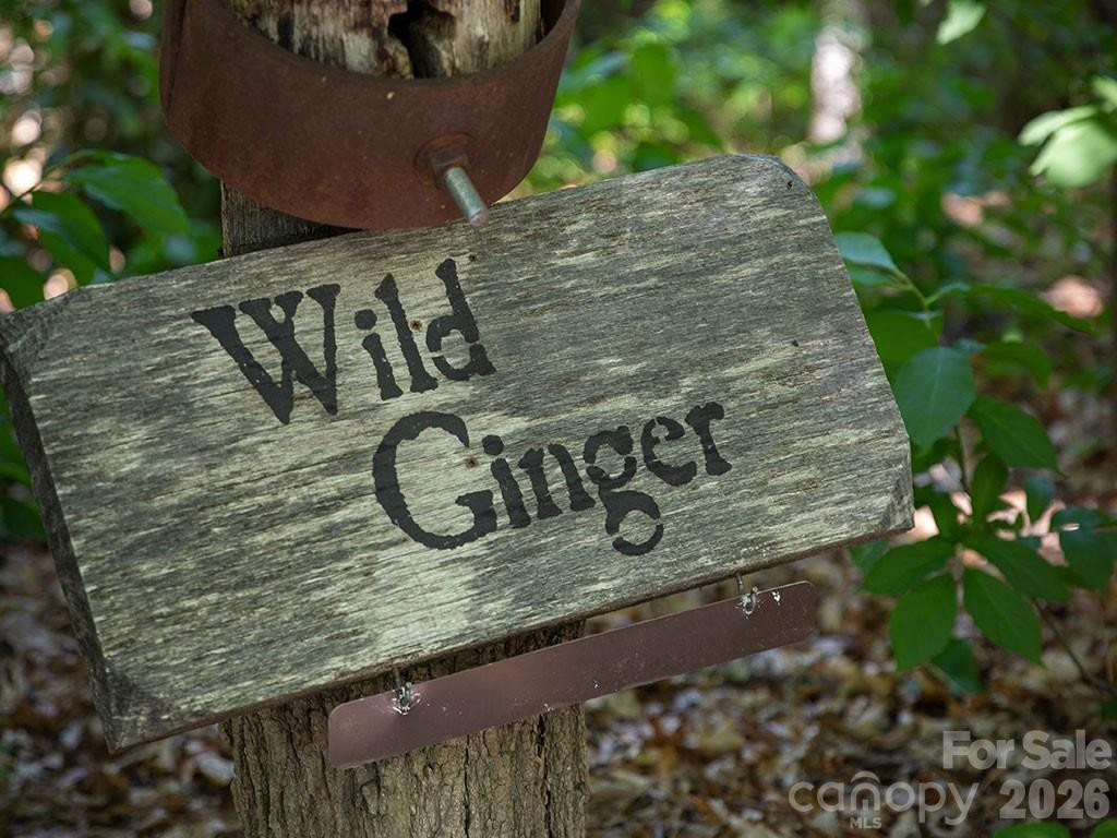 139 (#13) Boarding House Way #115 - Photo 13