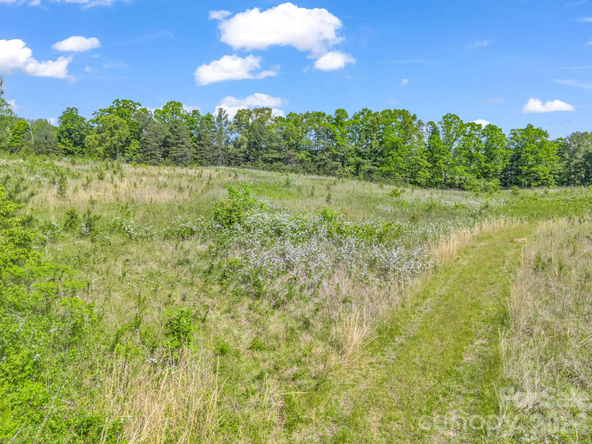 0 Hwy 9 Highway - Photo 29