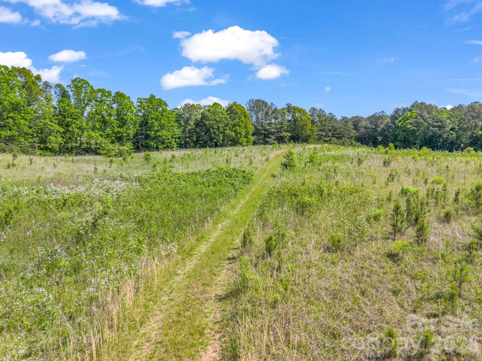 0 Hwy 9 Highway - Photo 30