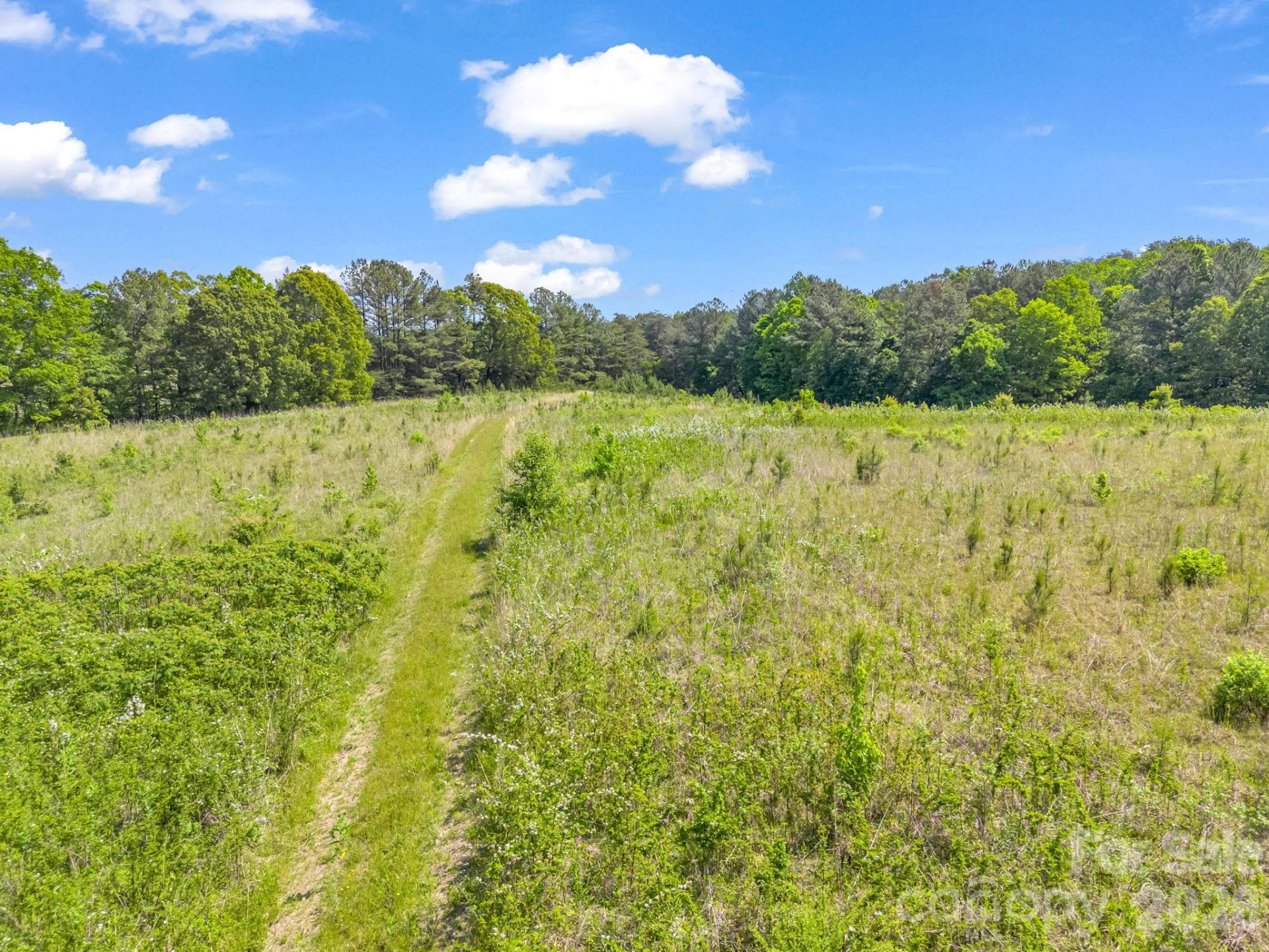 0 Hwy 9 Highway - Photo 31