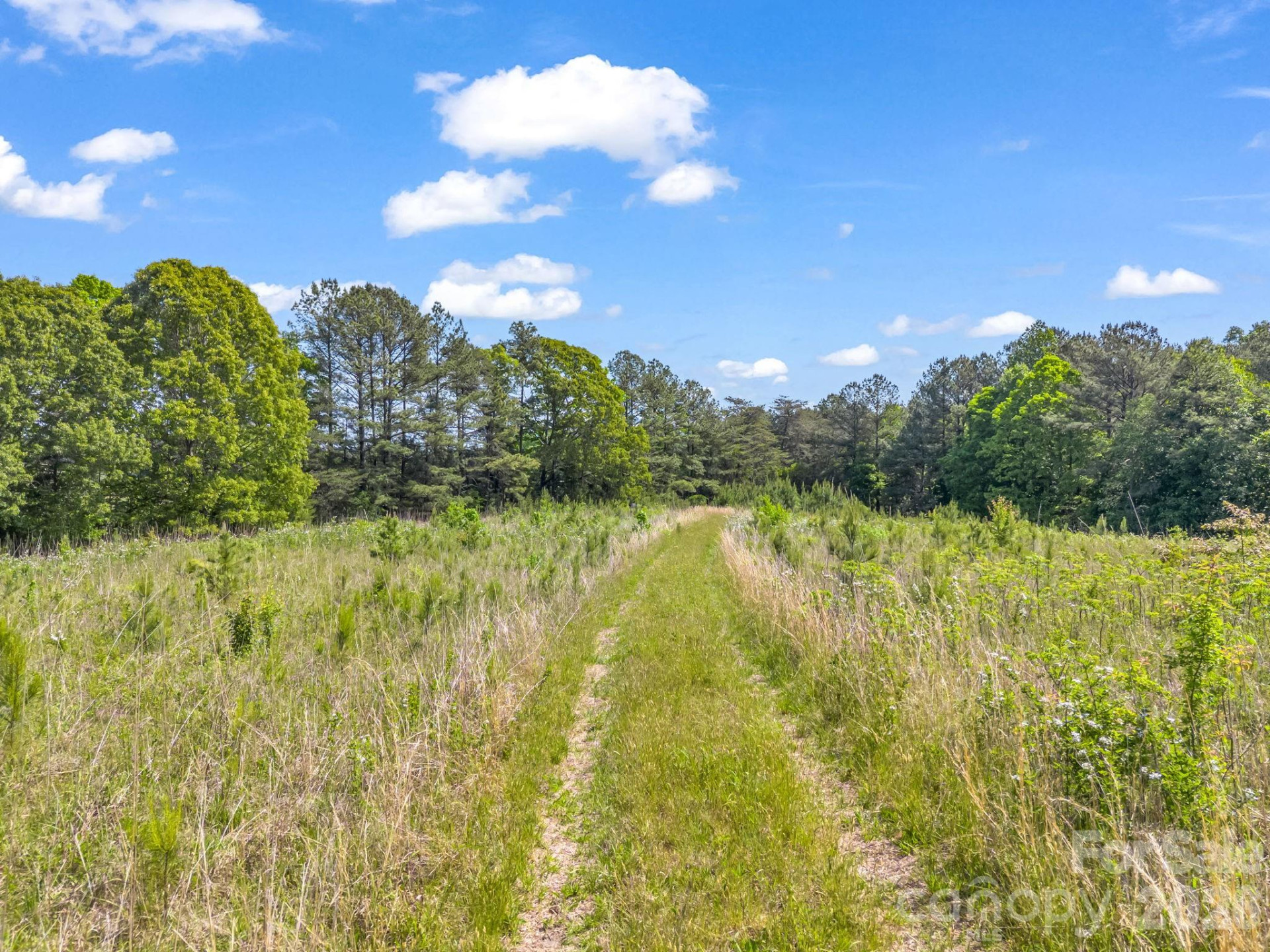 0 Hwy 9 Highway - Photo 32