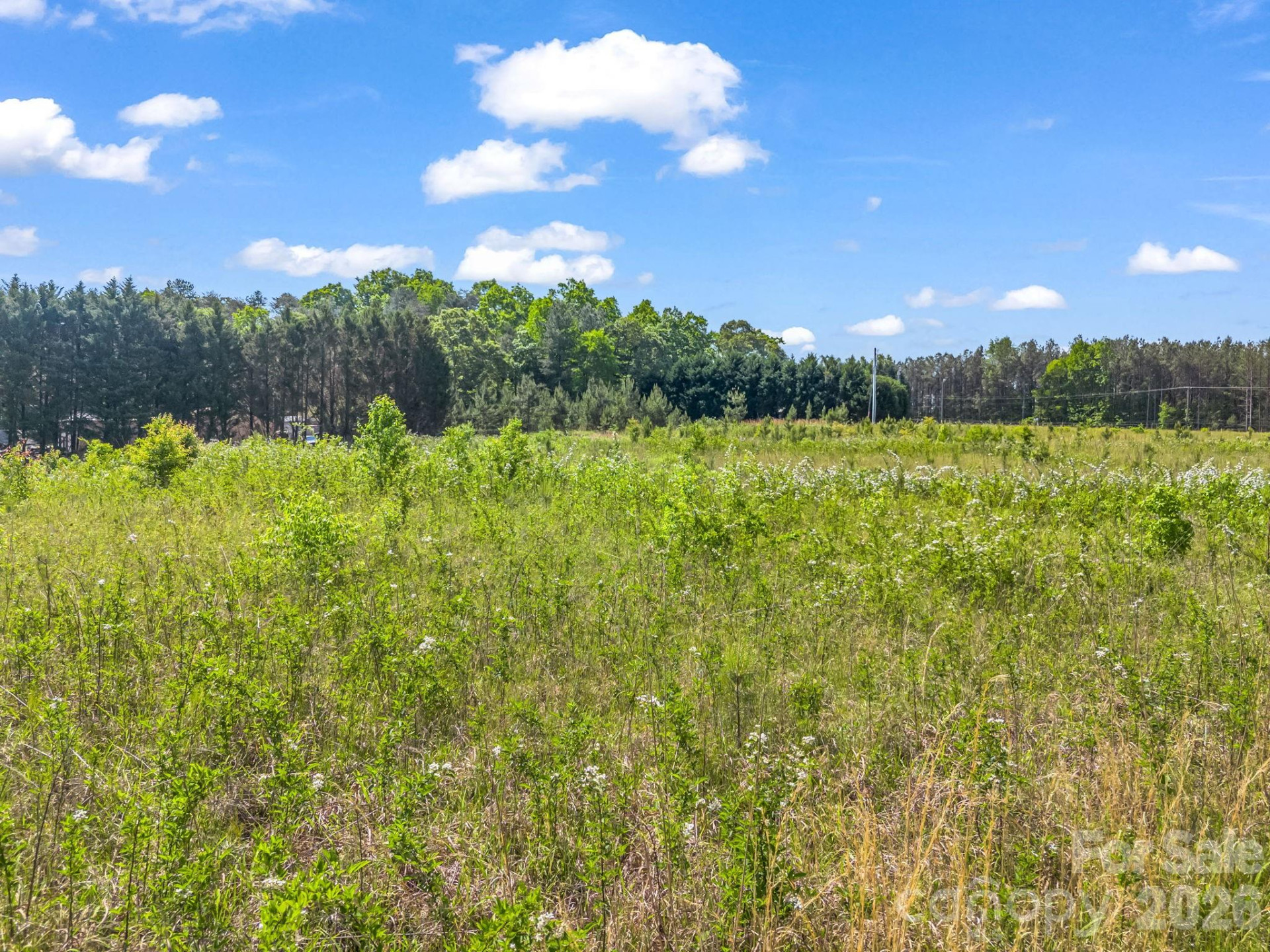 0 Hwy 9 Highway - Photo 33