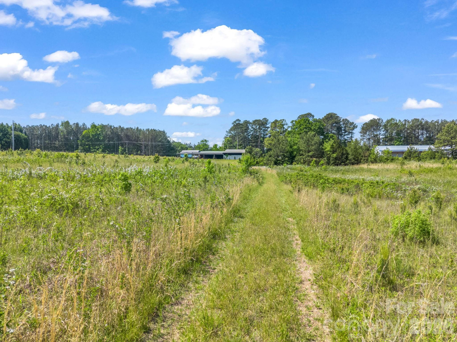 0 Hwy 9 Highway - Photo 34