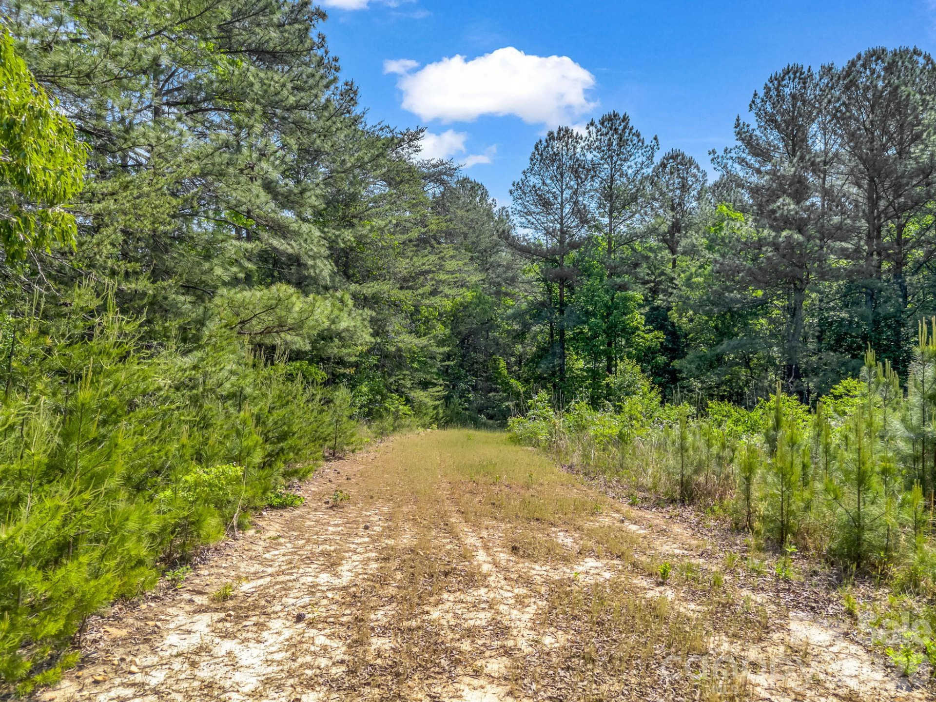 0 Hwy 9 Highway - Photo 35