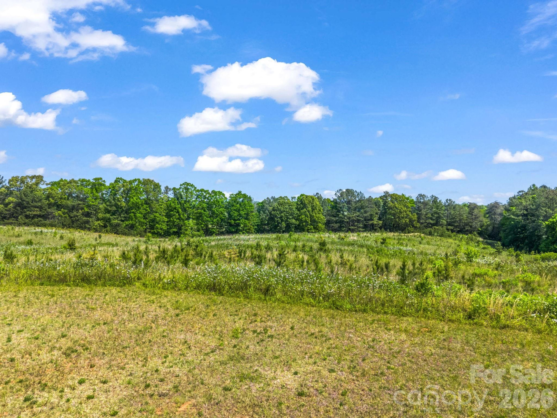 0 Hwy 9 Highway - Photo 38