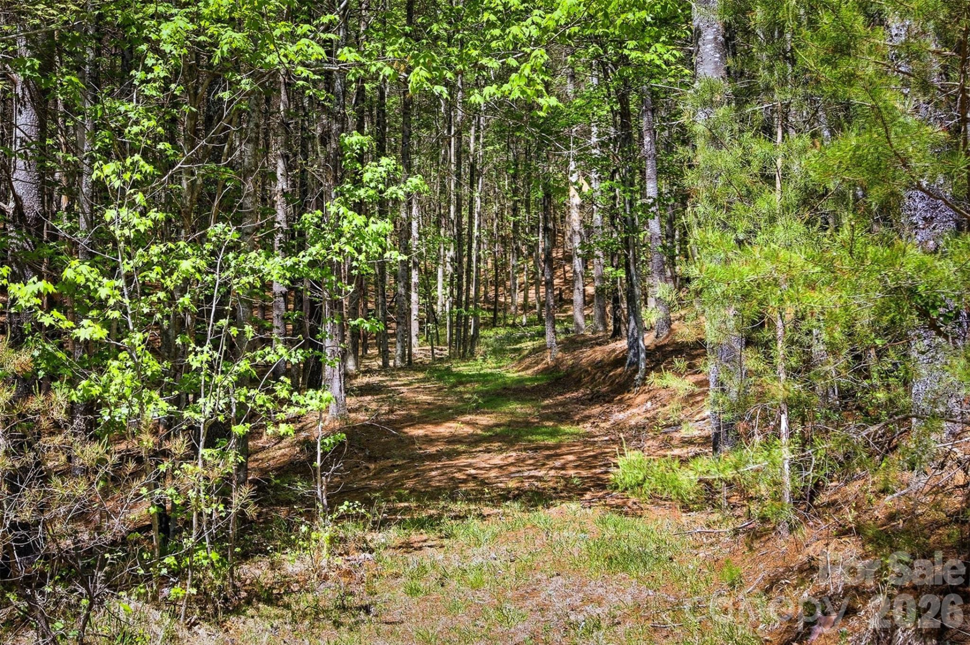 146 Bream Flats Drive #40 - Photo 2