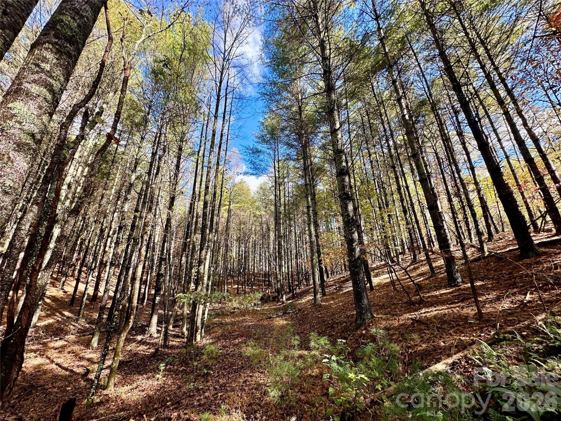 146 Bream Flats Drive #40 - Photo 11