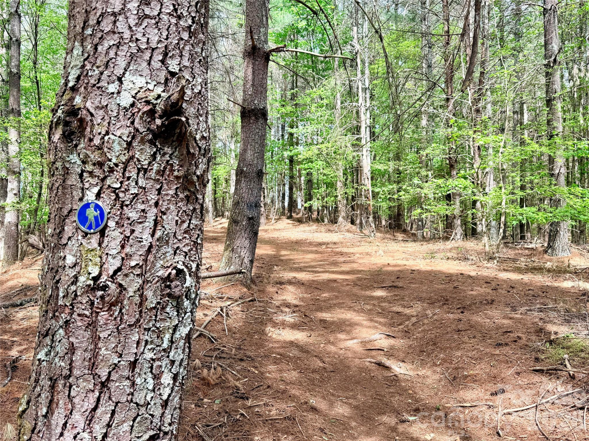 146 Bream Flats Drive #40 - Photo 12