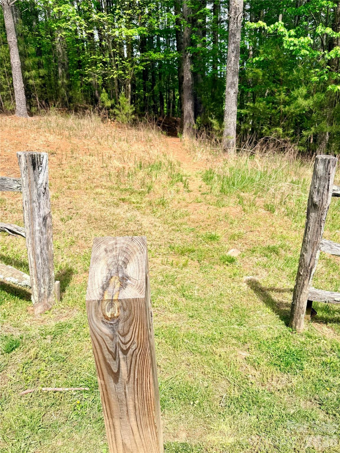 146 Bream Flats Drive #40 - Photo 14