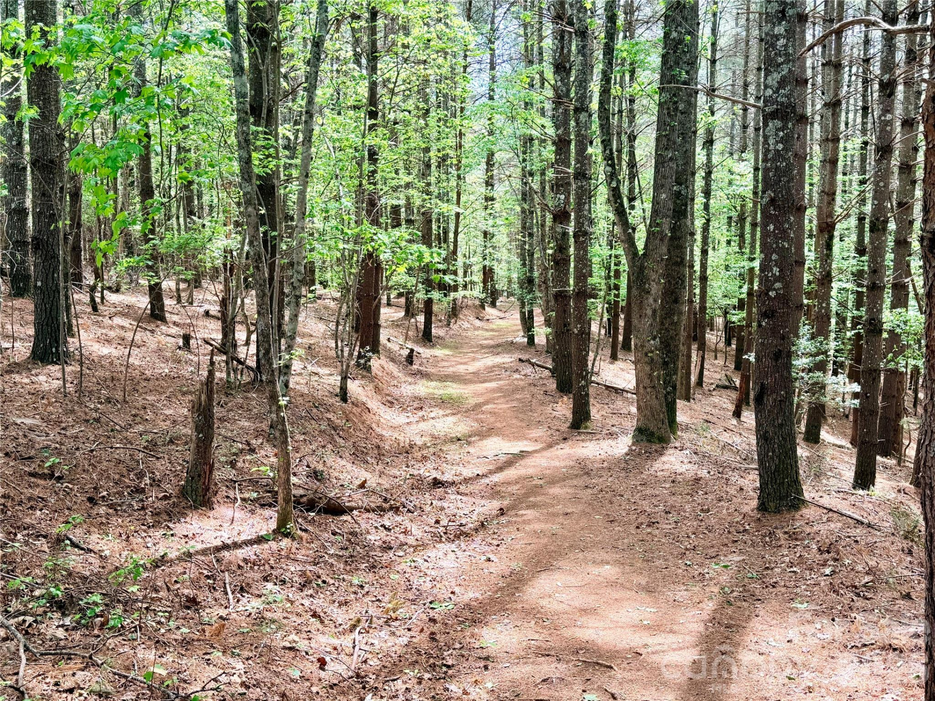 146 Bream Flats Drive #40 - Photo 15