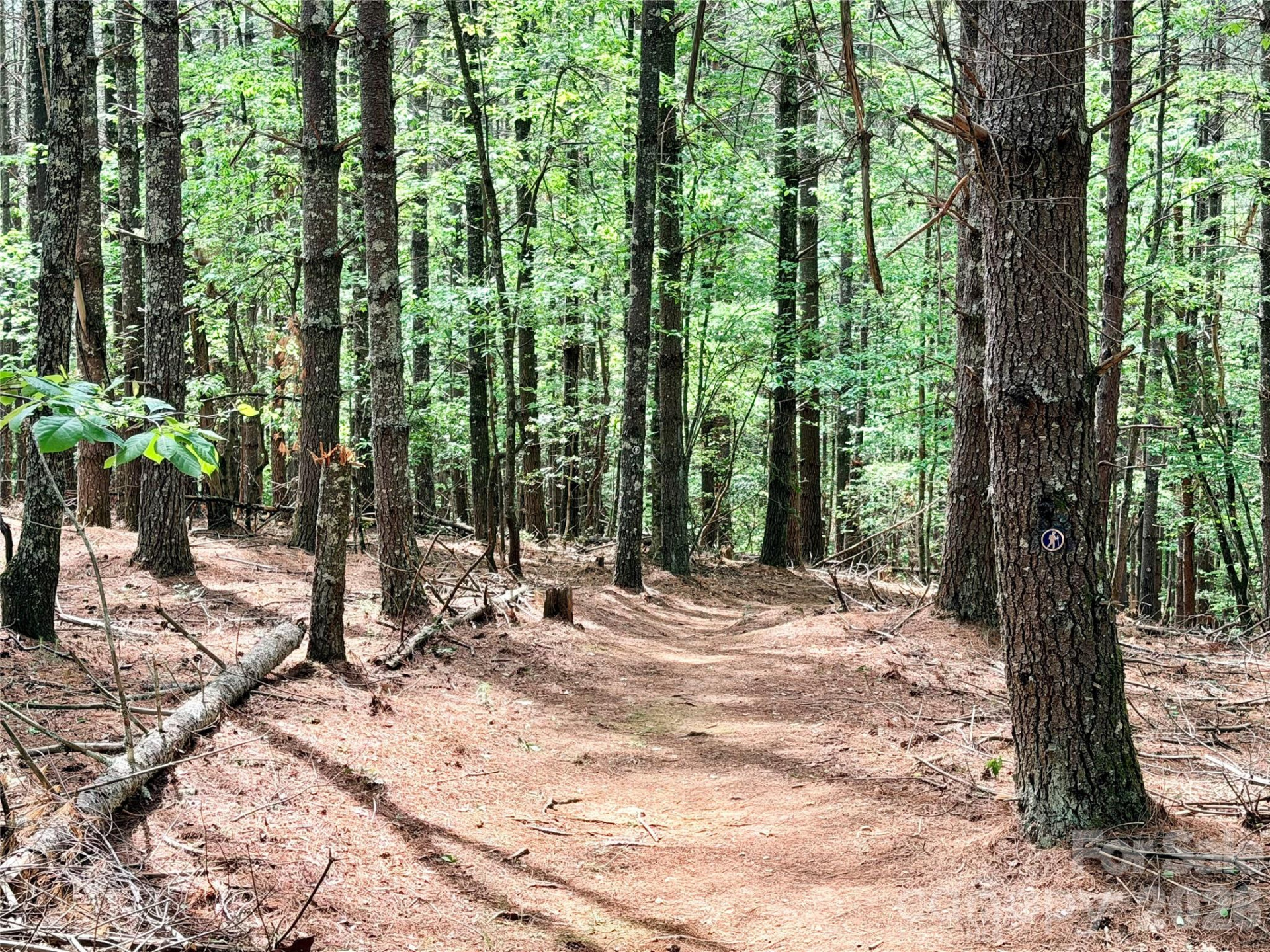 146 Bream Flats Drive #40 - Photo 16