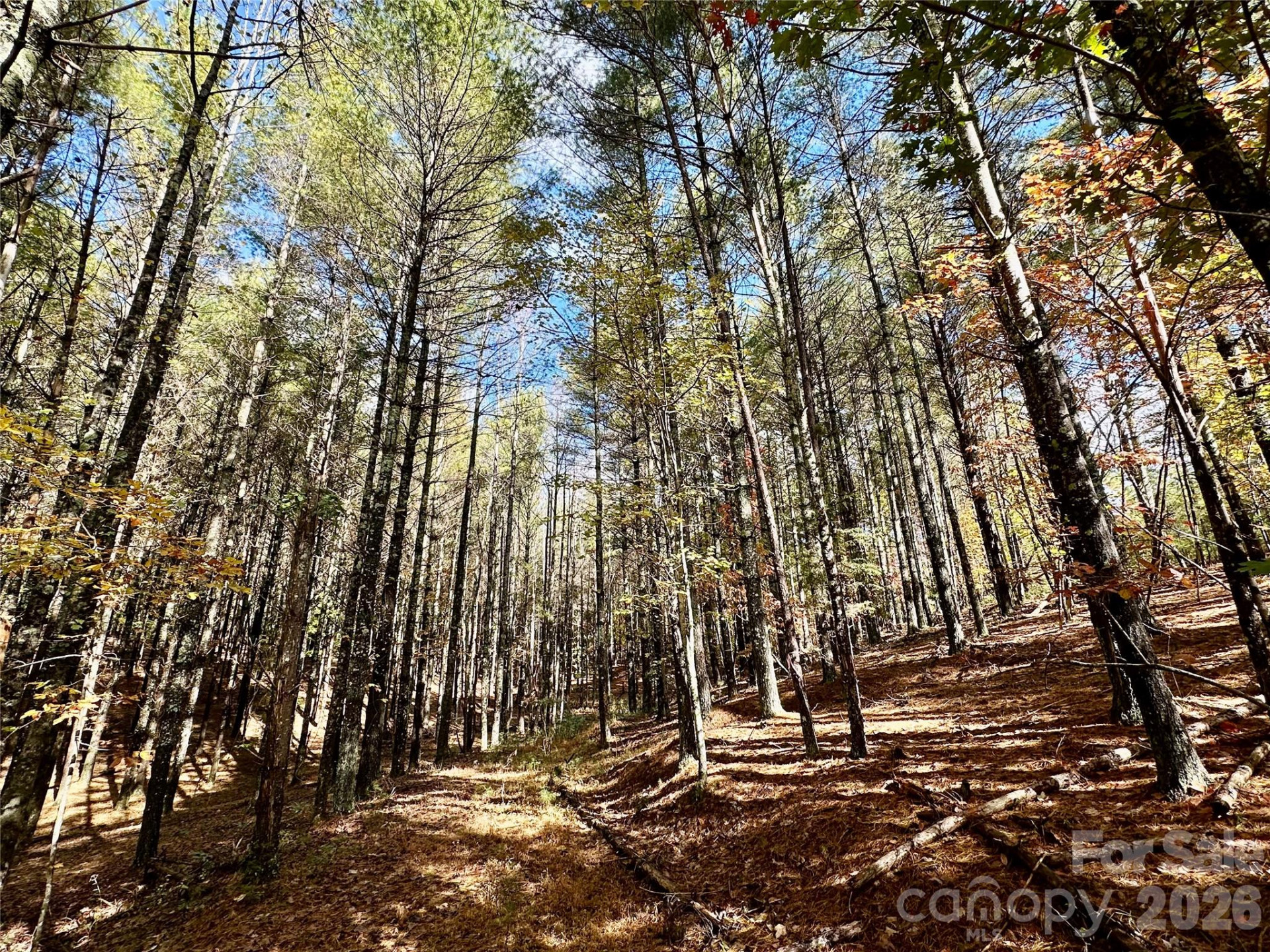 146 Bream Flats Drive #40 - Photo 17