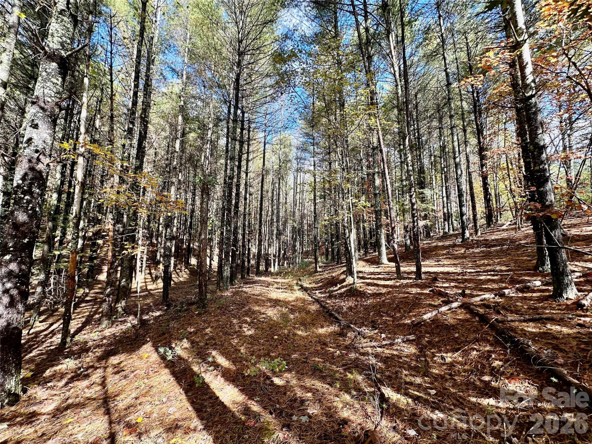 146 Bream Flats Drive #40 - Photo 18