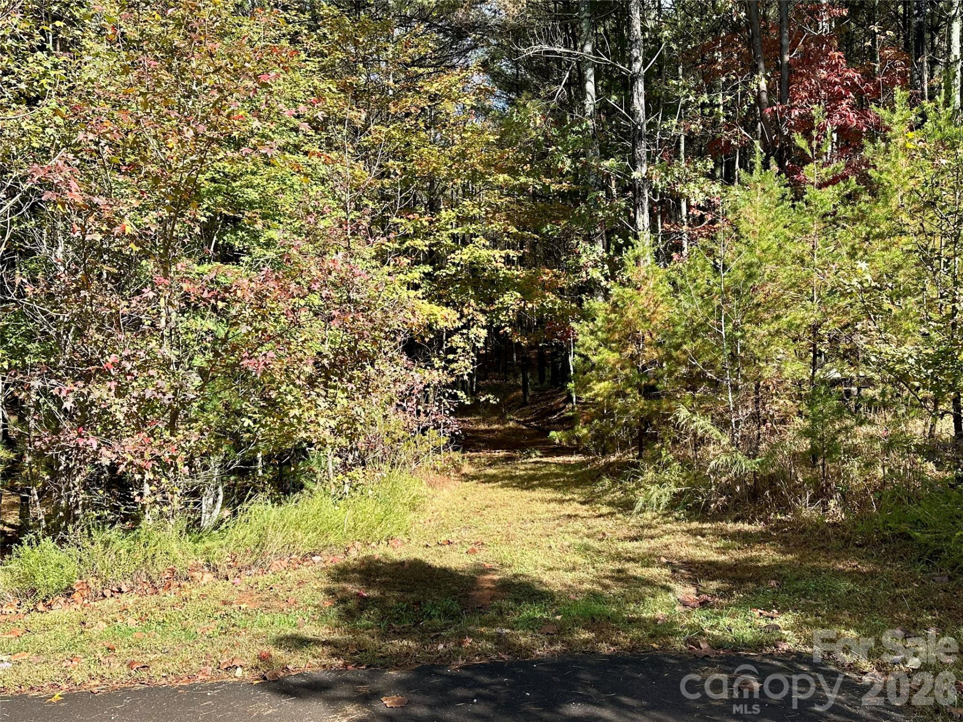 146 Bream Flats Drive #40 - Photo 19