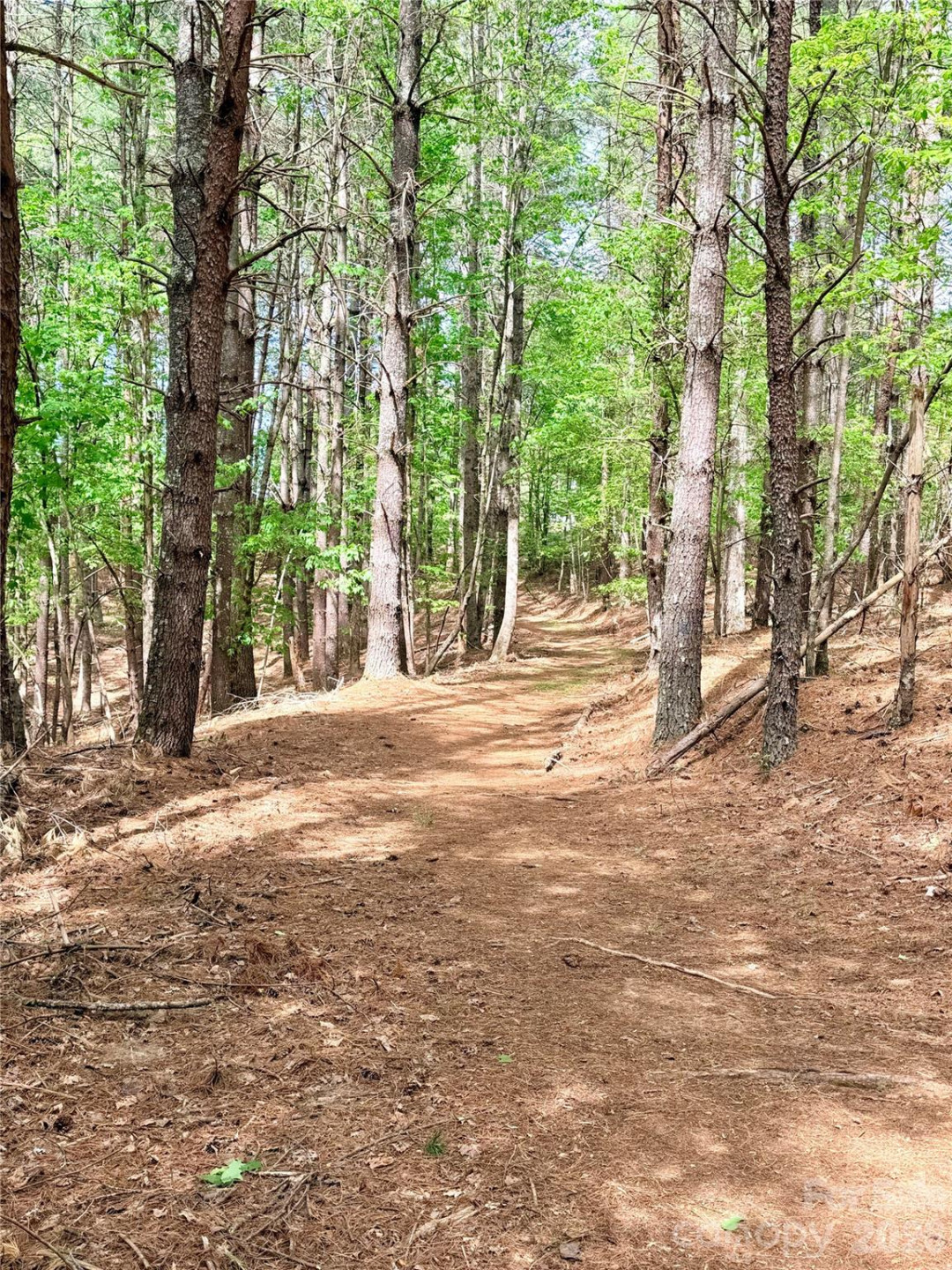 146 Bream Flats Drive #40 - Photo 20