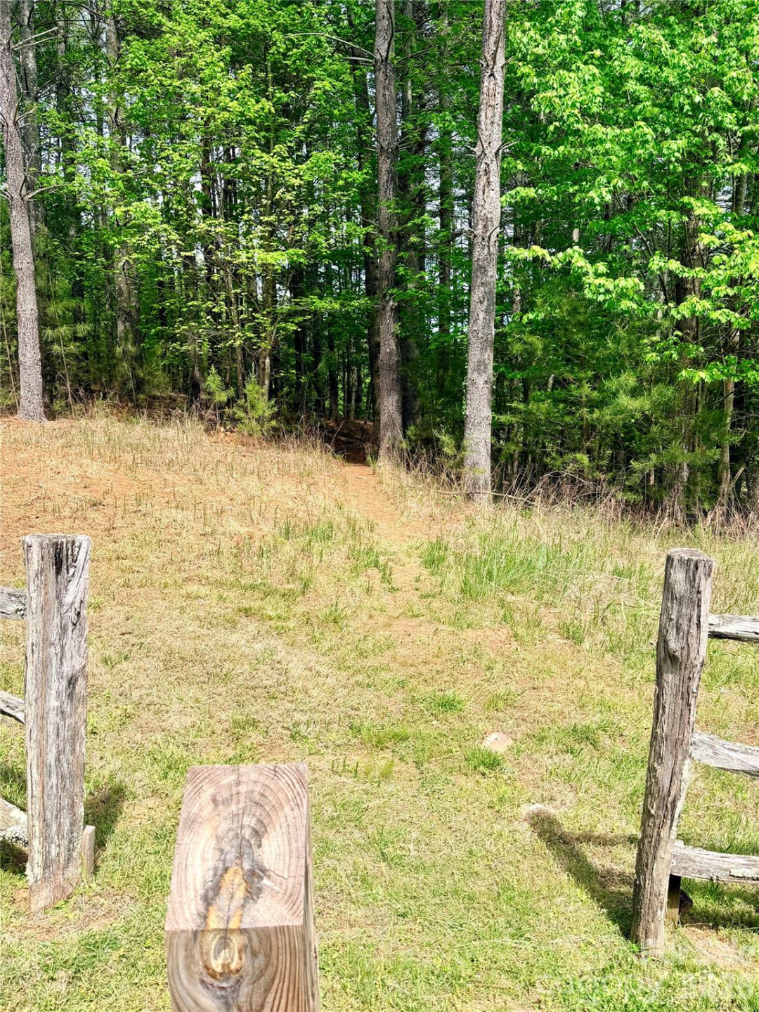 146 Bream Flats Drive #40 - Photo 21