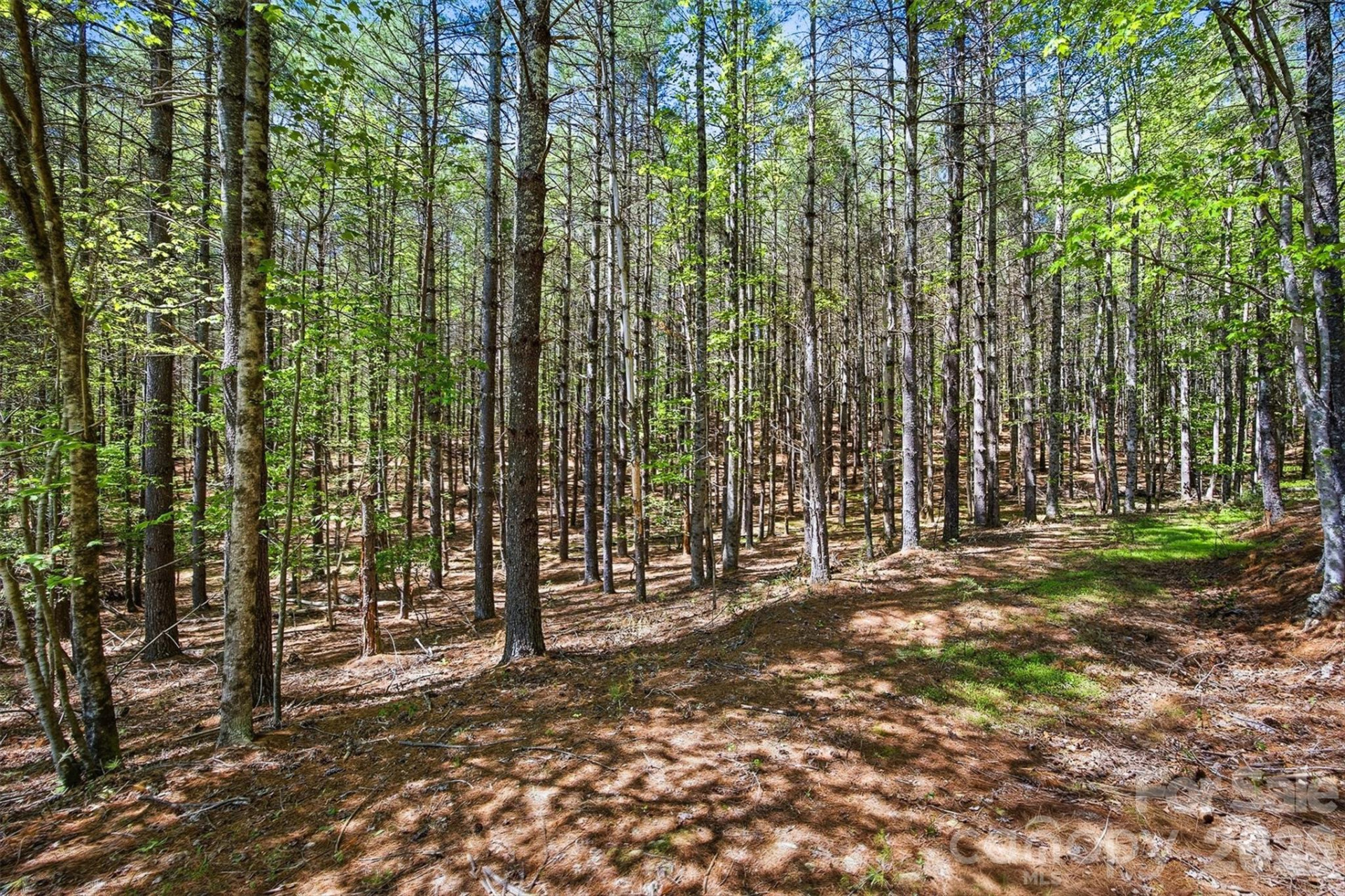 146 Bream Flats Drive #40 - Photo 4