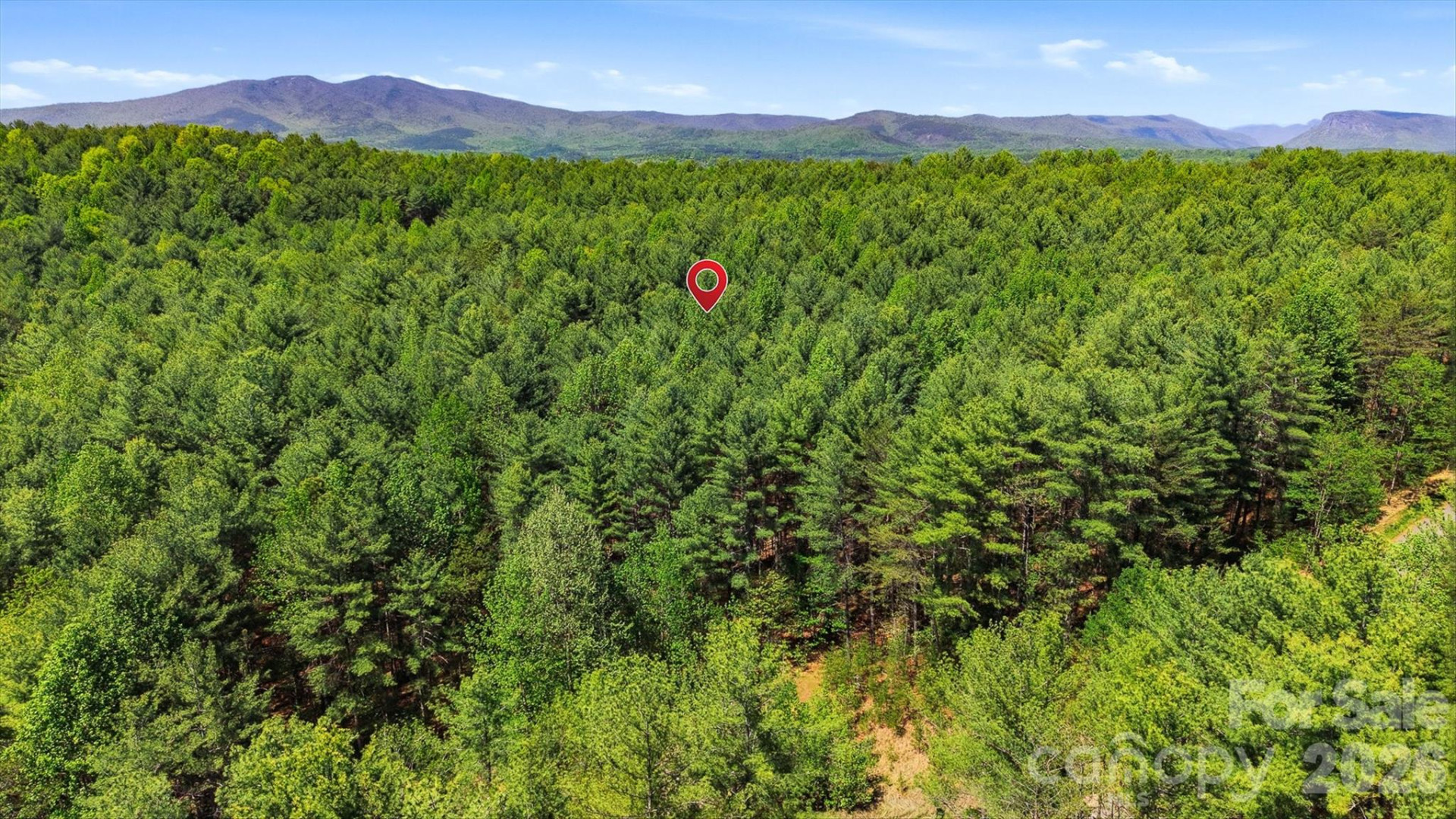 146 Bream Flats Drive #40 - Photo 33