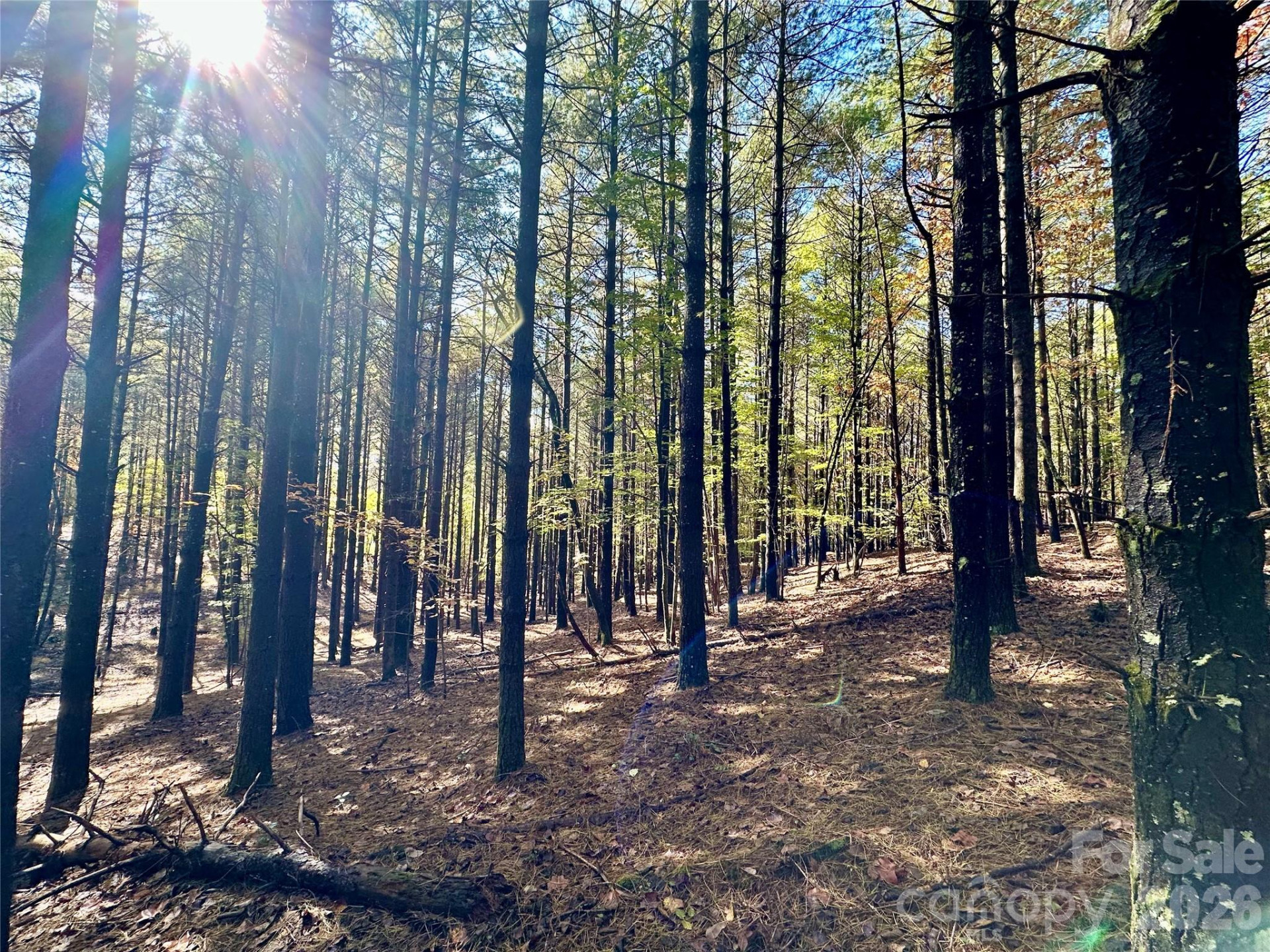 146 Bream Flats Drive #40 - Photo 34