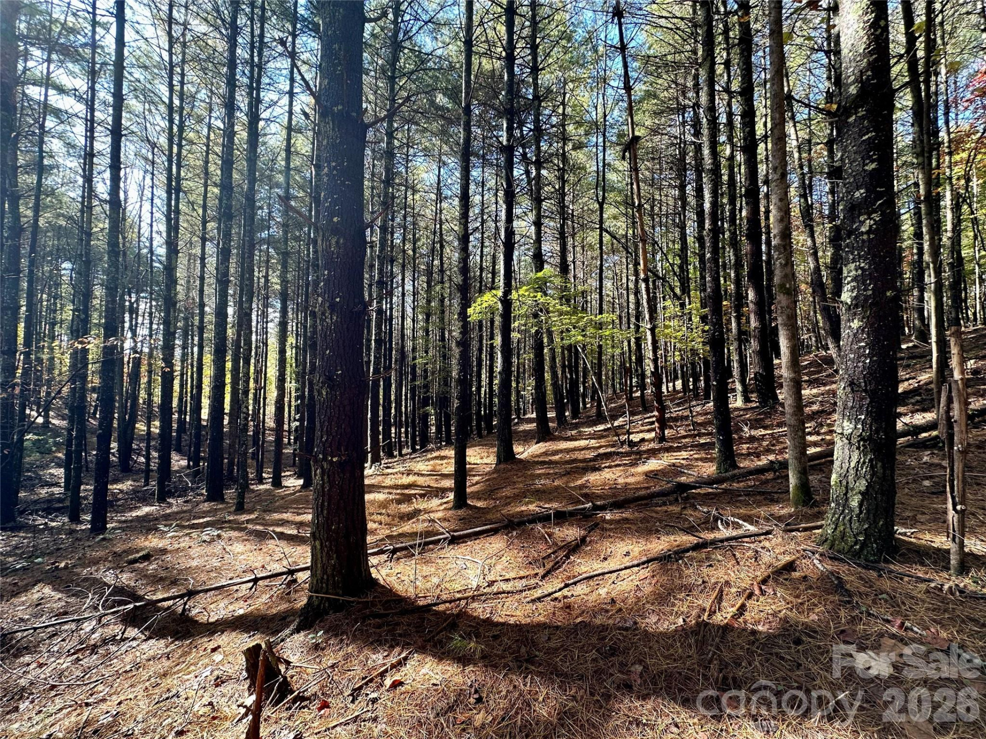 146 Bream Flats Drive #40 - Photo 35