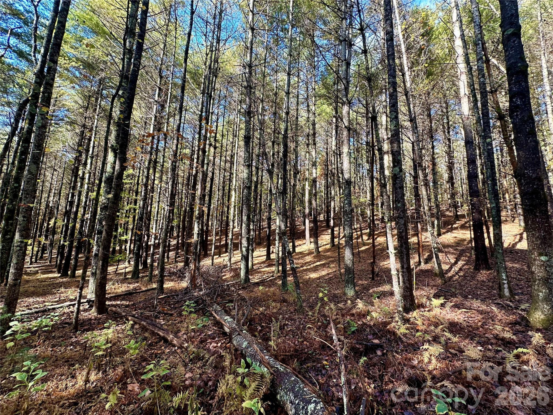 146 Bream Flats Drive #40 - Photo 36