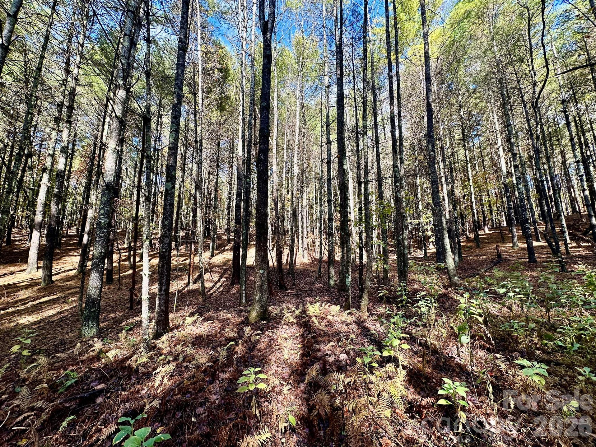 146 Bream Flats Drive #40 - Photo 37