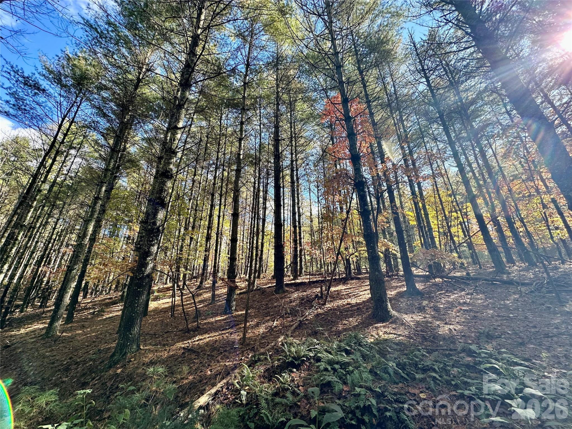 146 Bream Flats Drive #40 - Photo 38