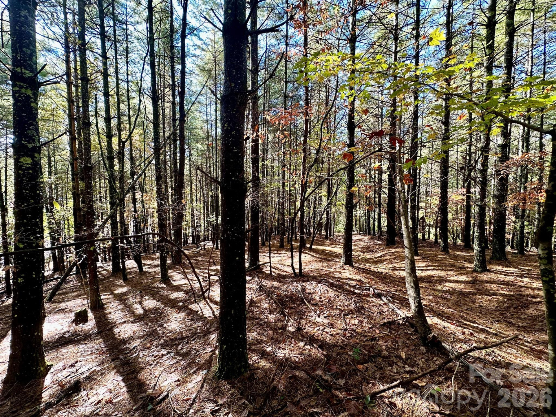 146 Bream Flats Drive #40 - Photo 39