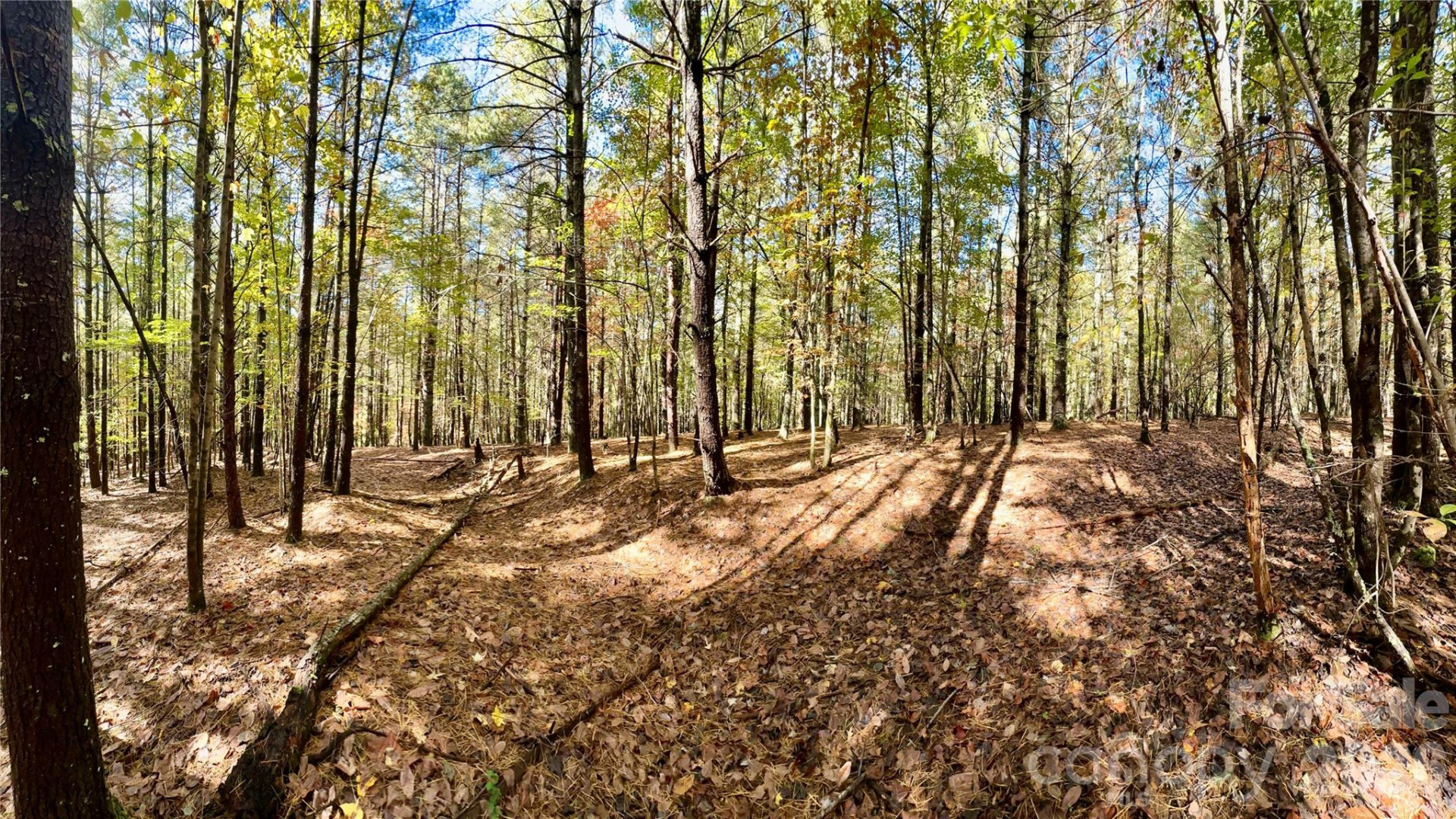 146 Bream Flats Drive #40 - Photo 42