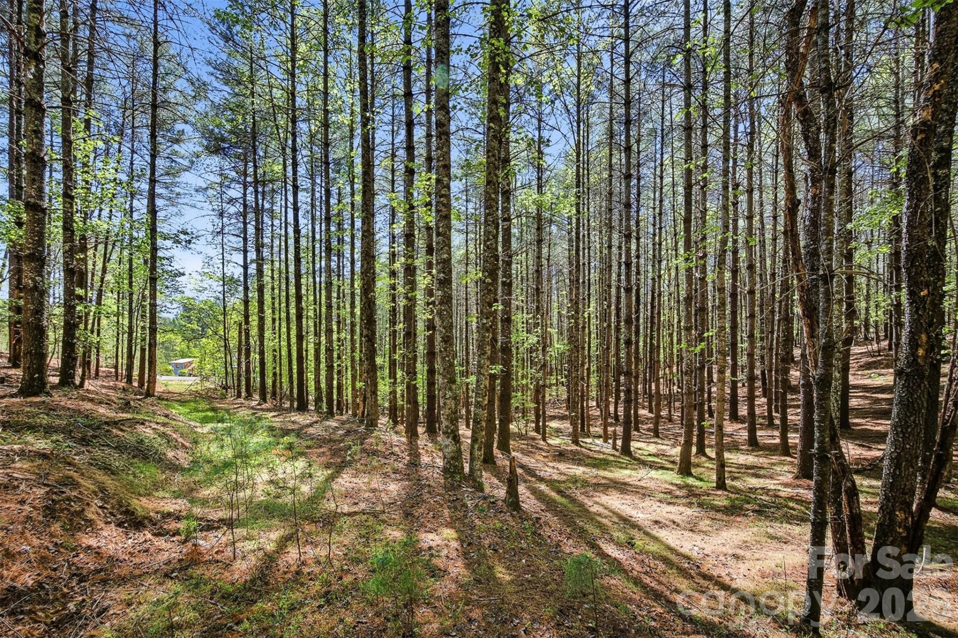 146 Bream Flats Drive #40 - Photo 7