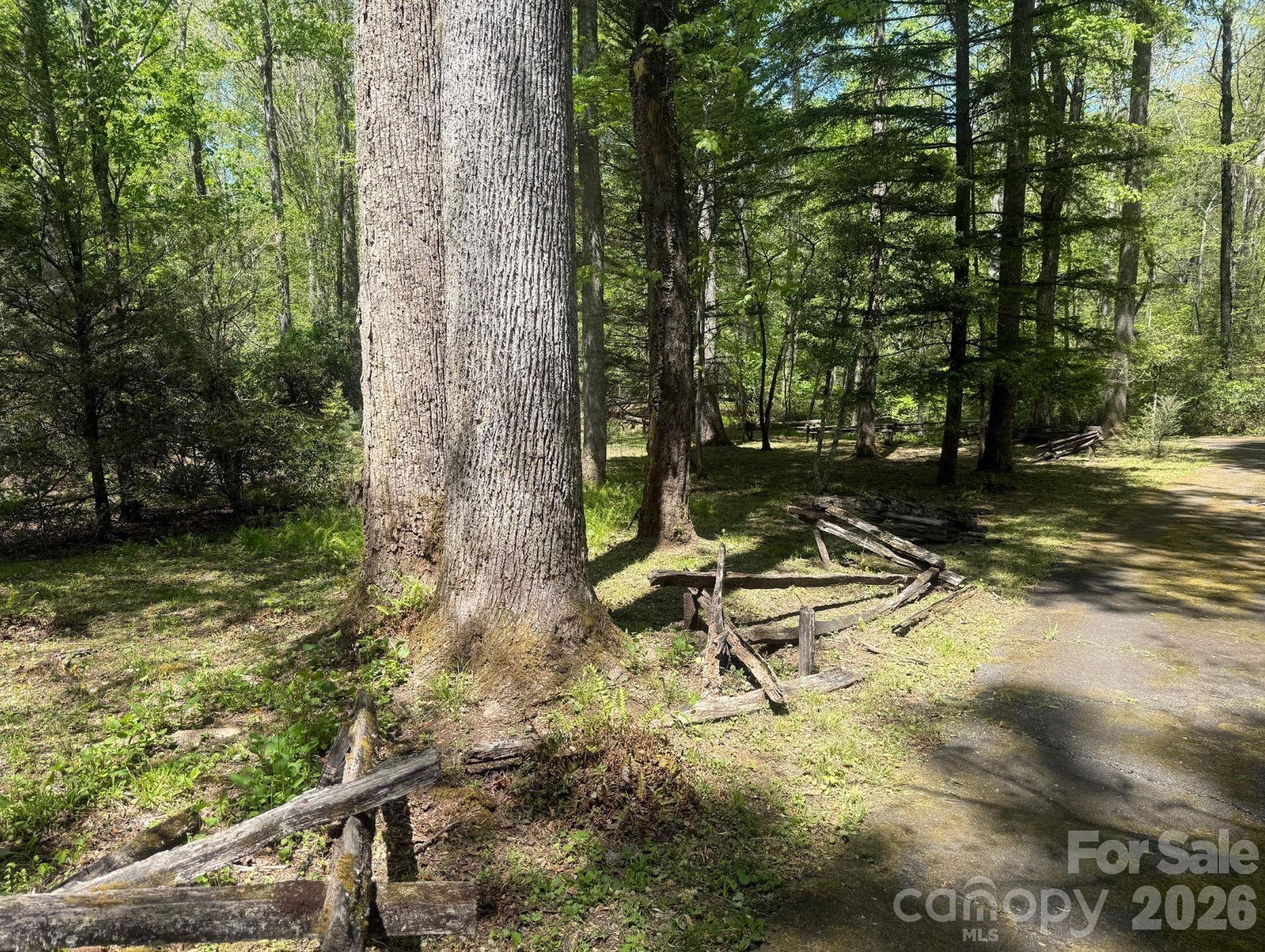 427 Wingfield Way - Photo 9