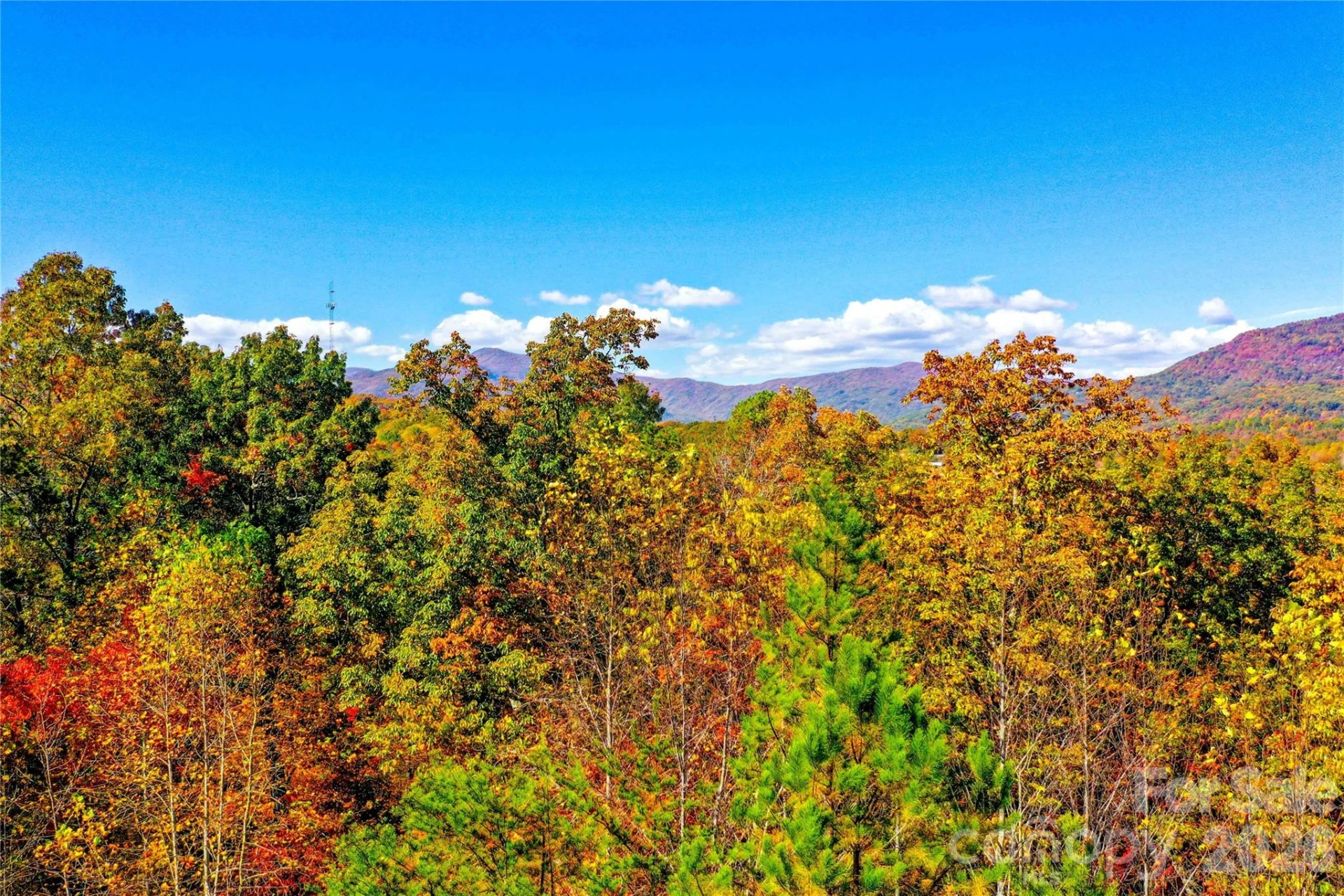 0 High Pines Loop #157 - Photo 2