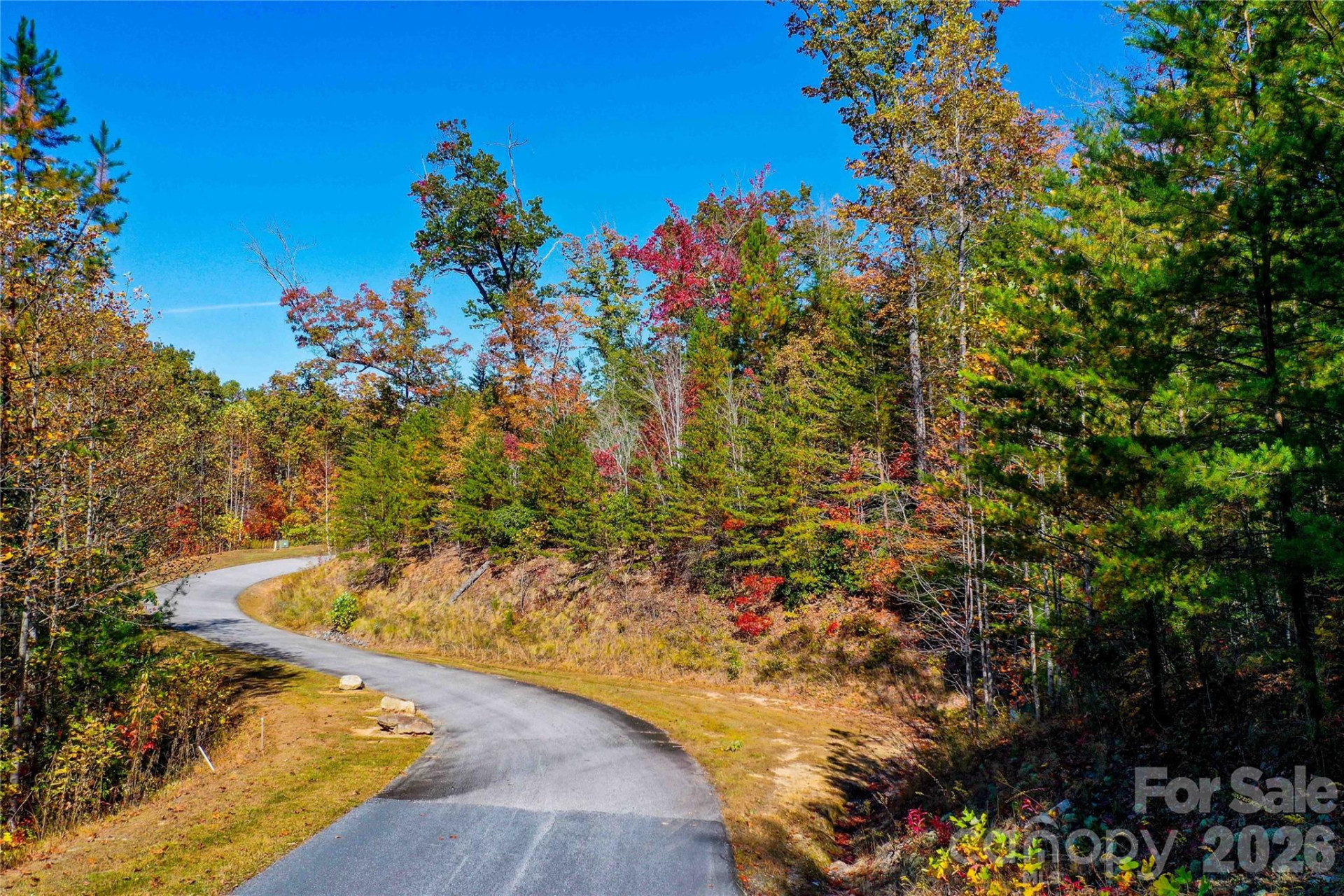 0 High Pines Loop #157 - Photo 12