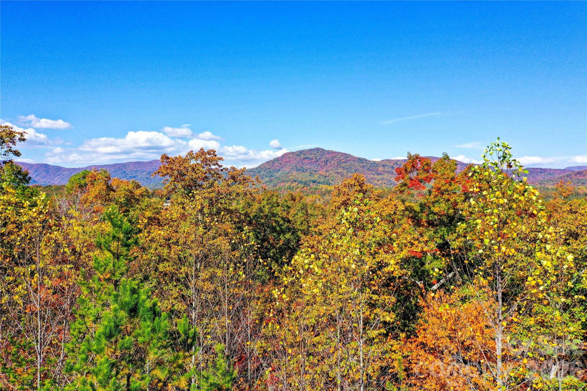 0 High Pines Loop #157 - Photo 14