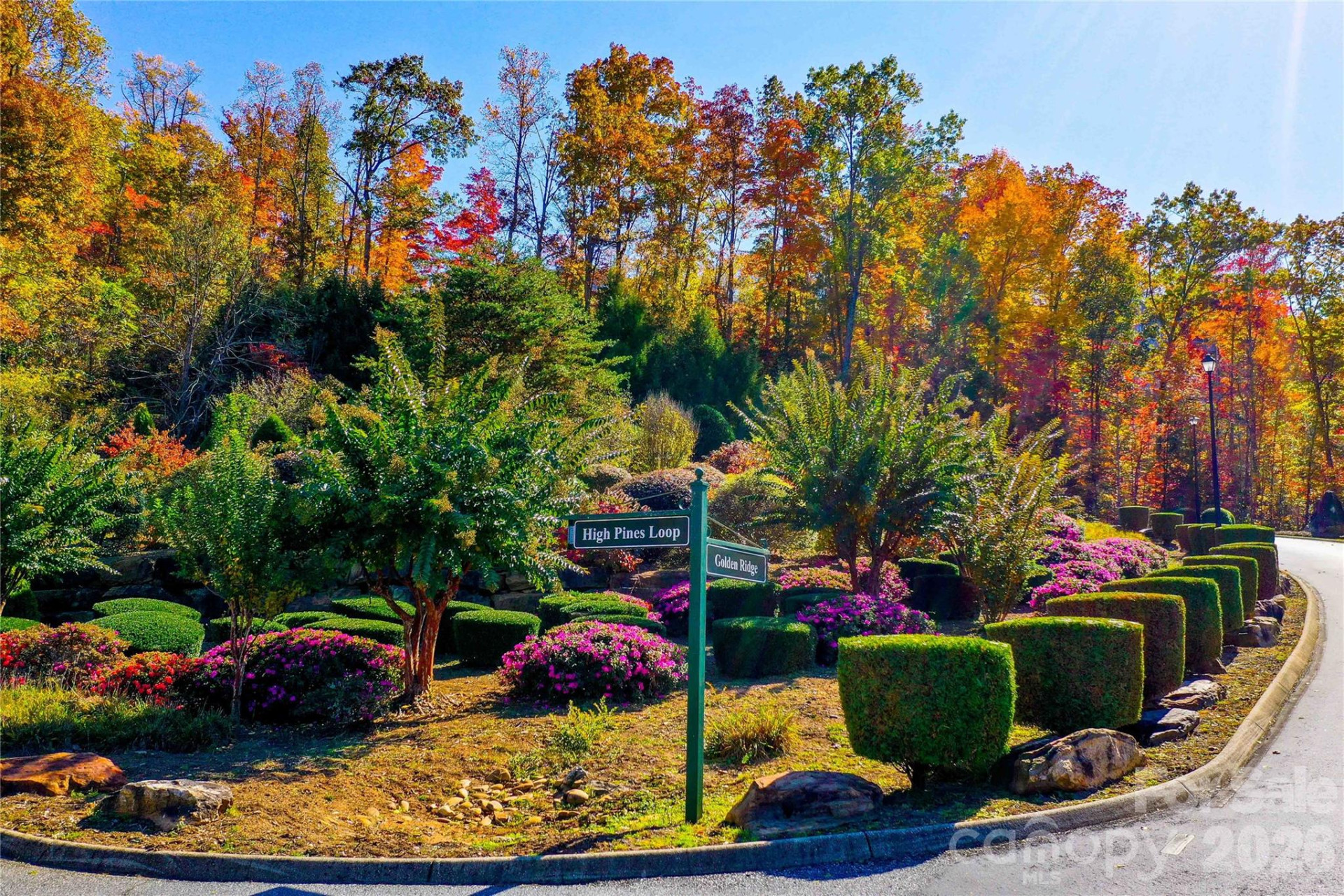 0 High Pines Loop #157 - Photo 15