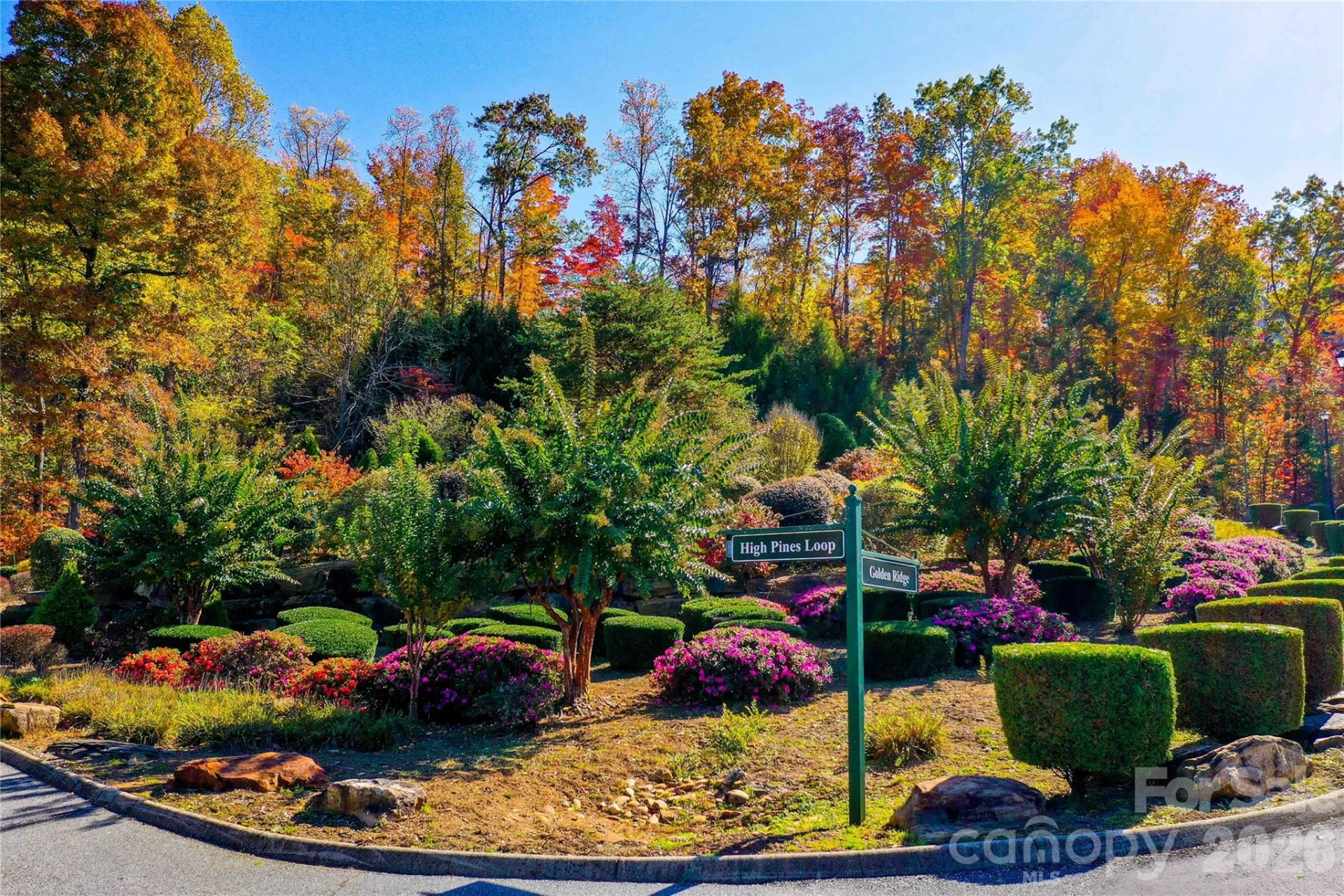 0 High Pines Loop #157 - Photo 16