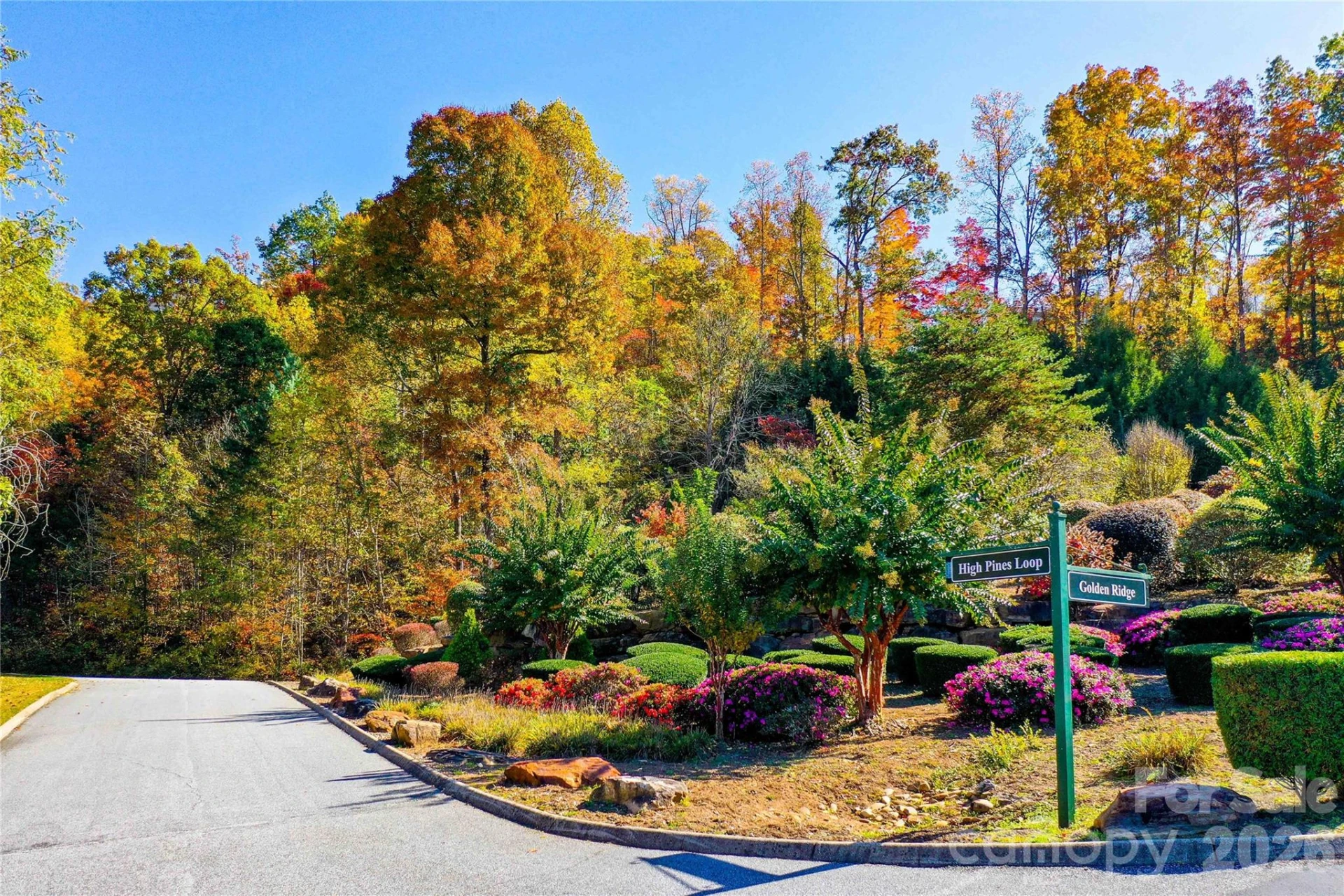 0 High Pines Loop #157 - Photo 20