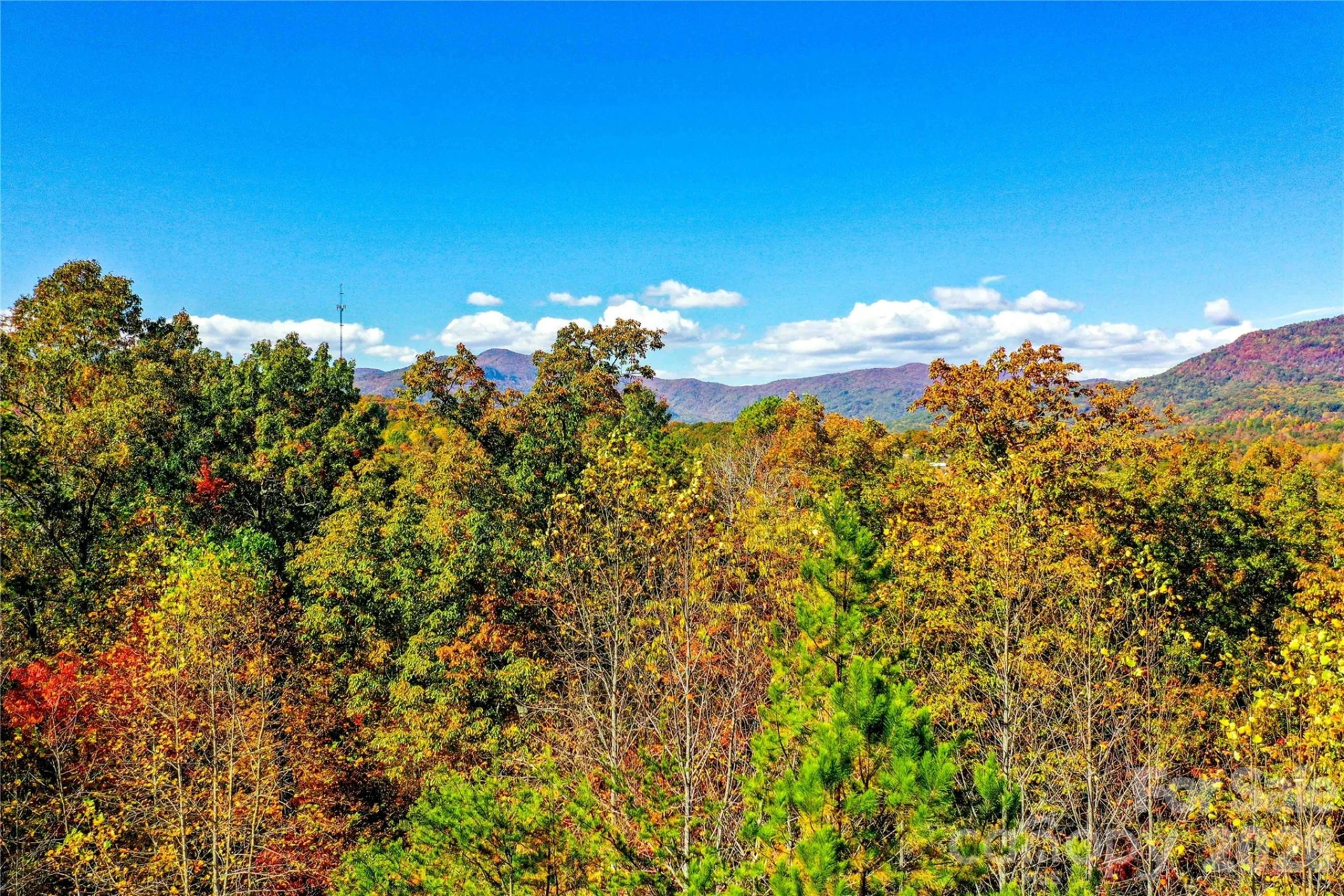 0 High Pines Loop #157 - Photo 3