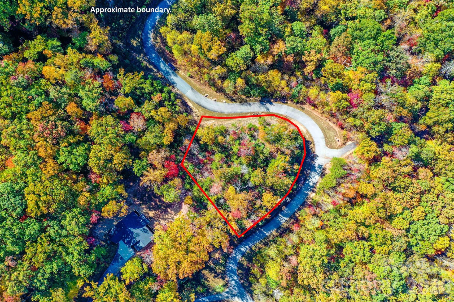 0 High Pines Loop #157 - Photo 4