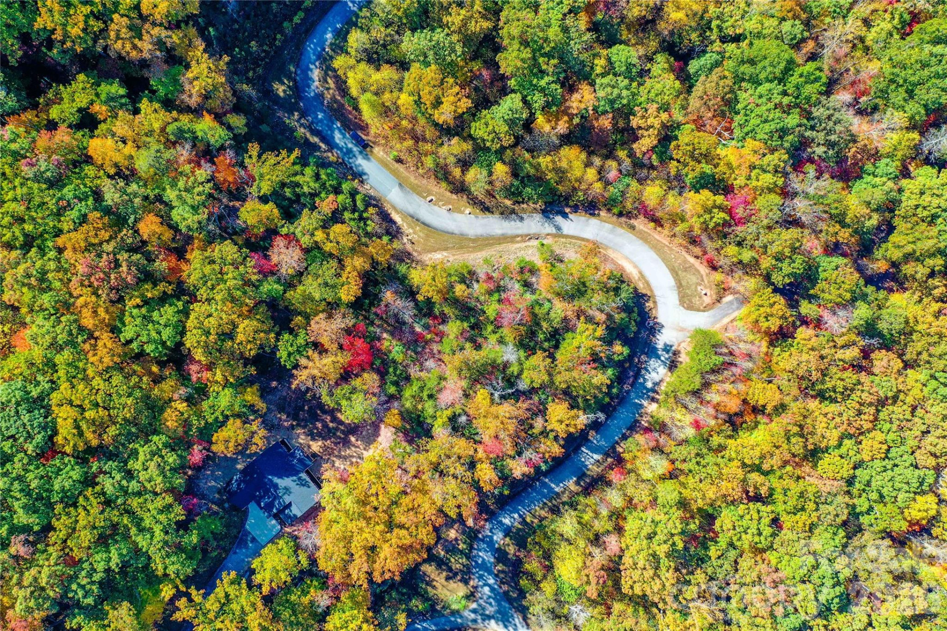 0 High Pines Loop #157 - Photo 5