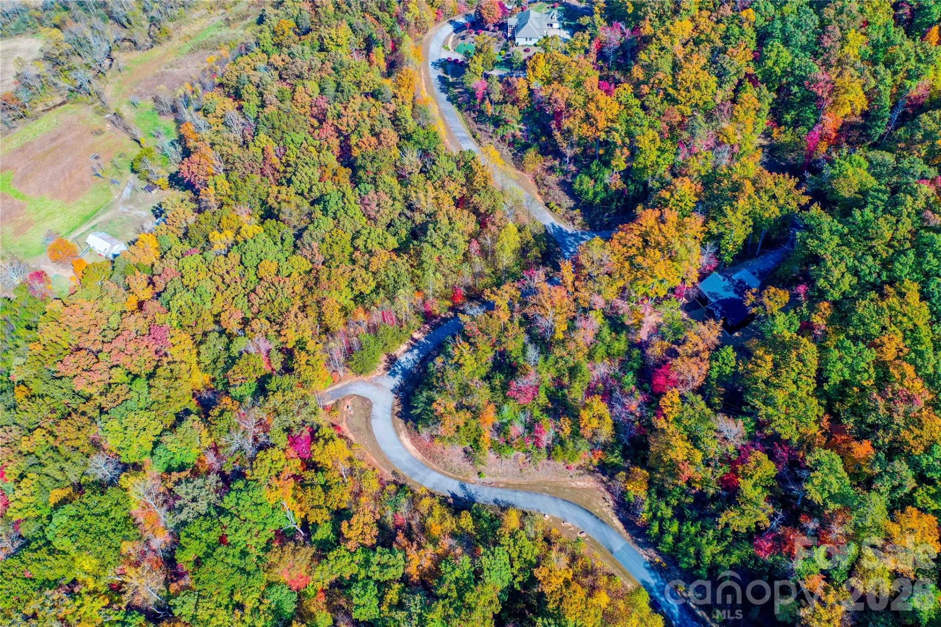 0 High Pines Loop #157 - Photo 6