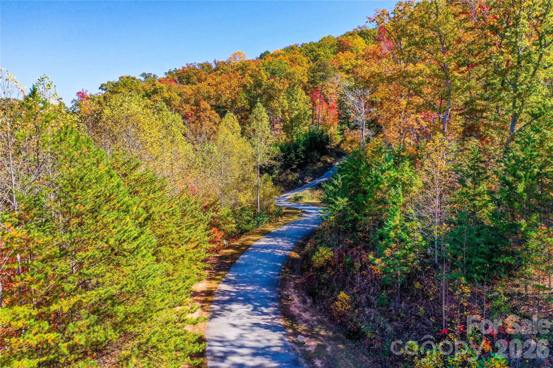 0 High Pines Loop #157 - Photo 7