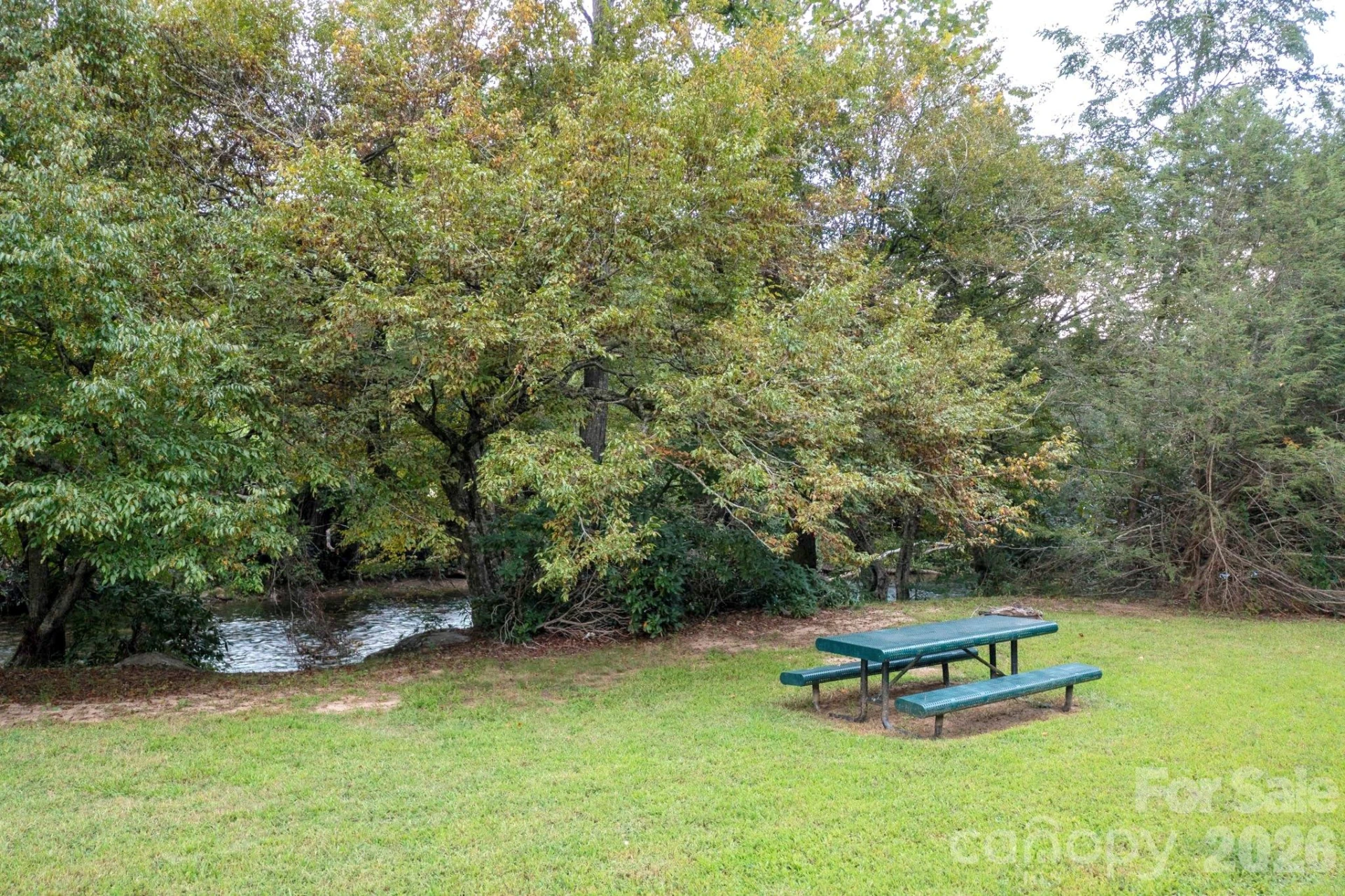 559 Shining Rock Path - Photo 38