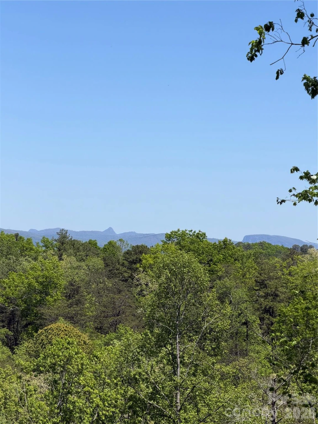 0 West Wood Drive #Lot A - Photo 4