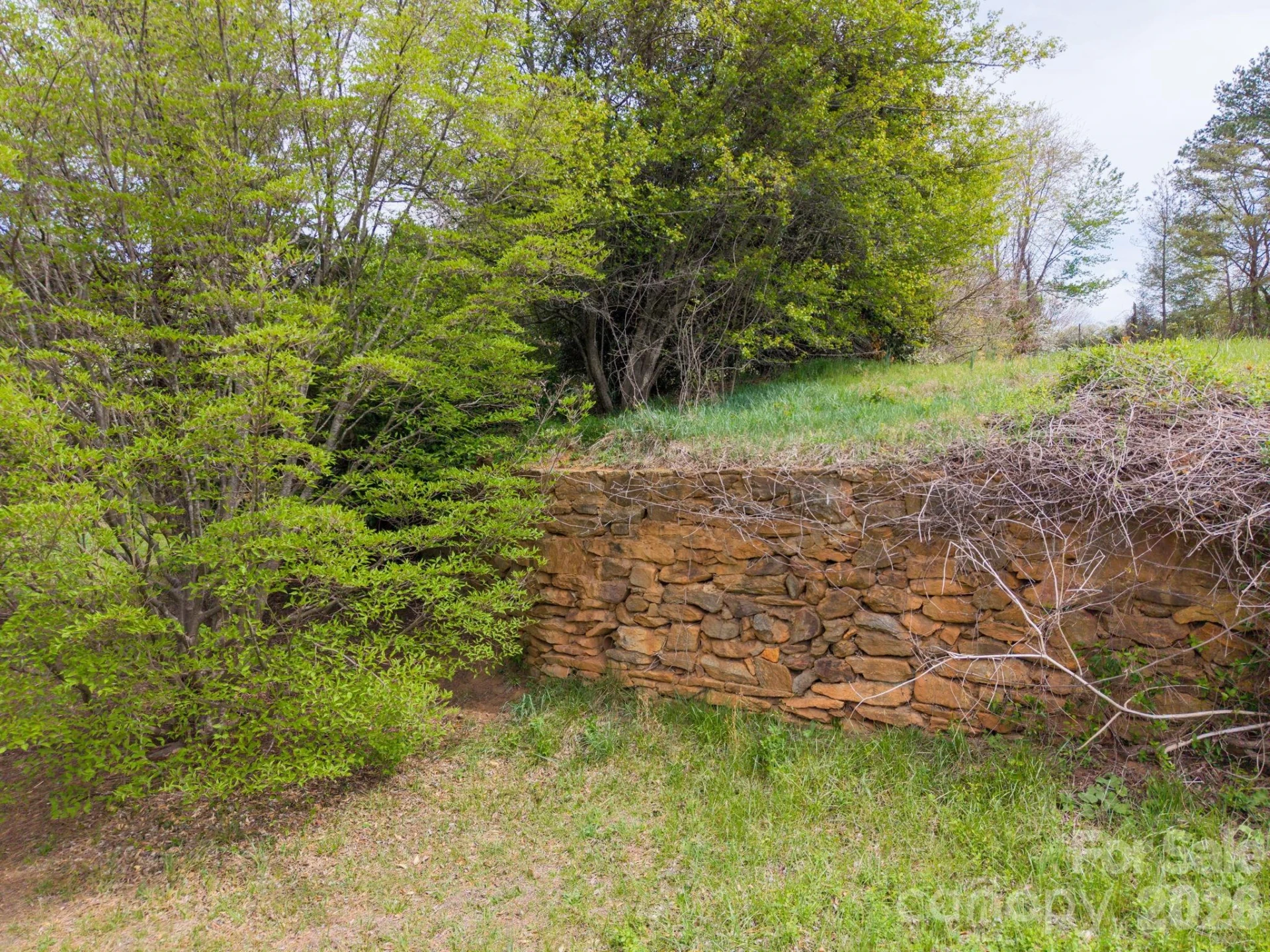 99999 Pine Acre Boulevard #4 - Photo 13