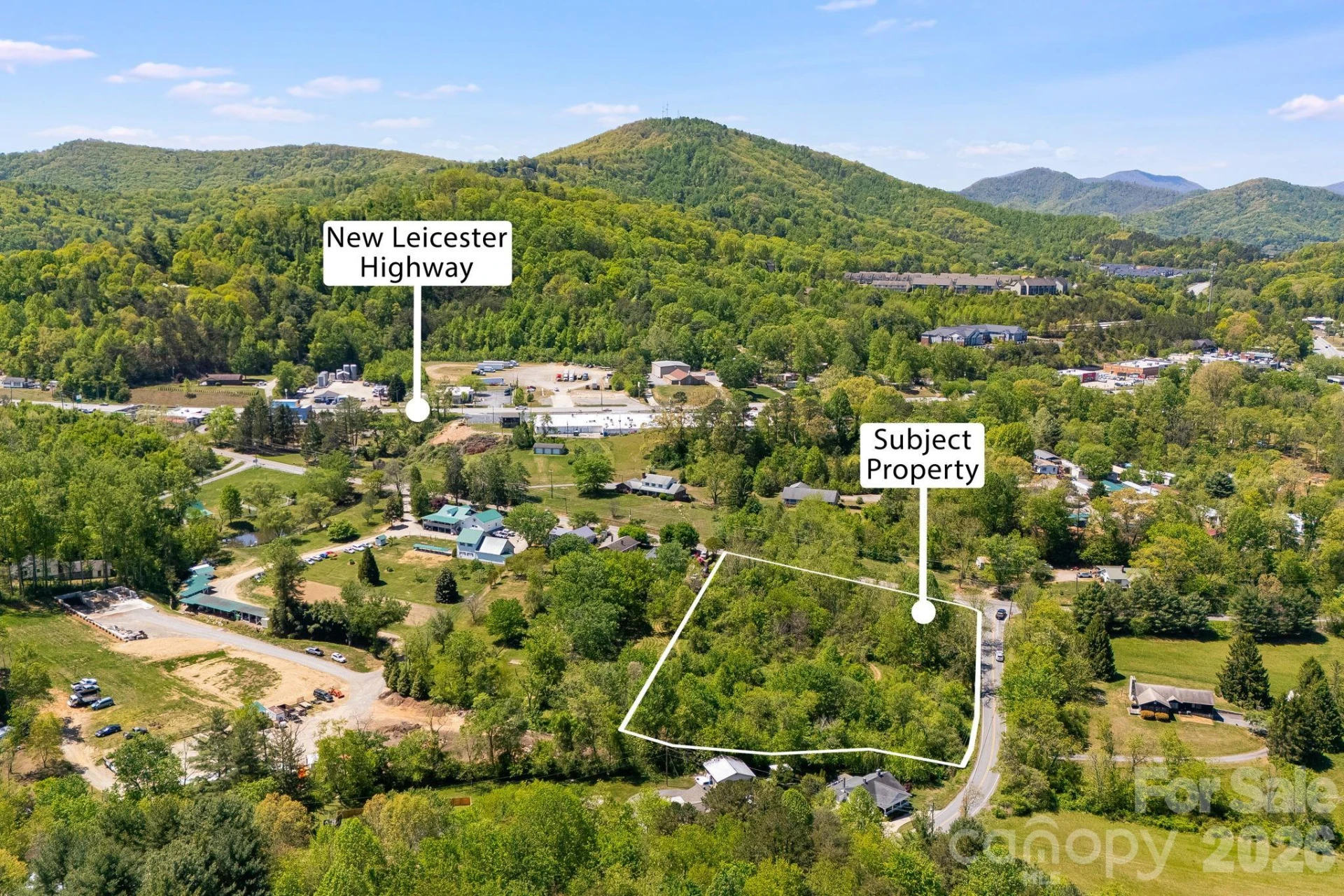 174 Ben Lippen Road - Photo 3
